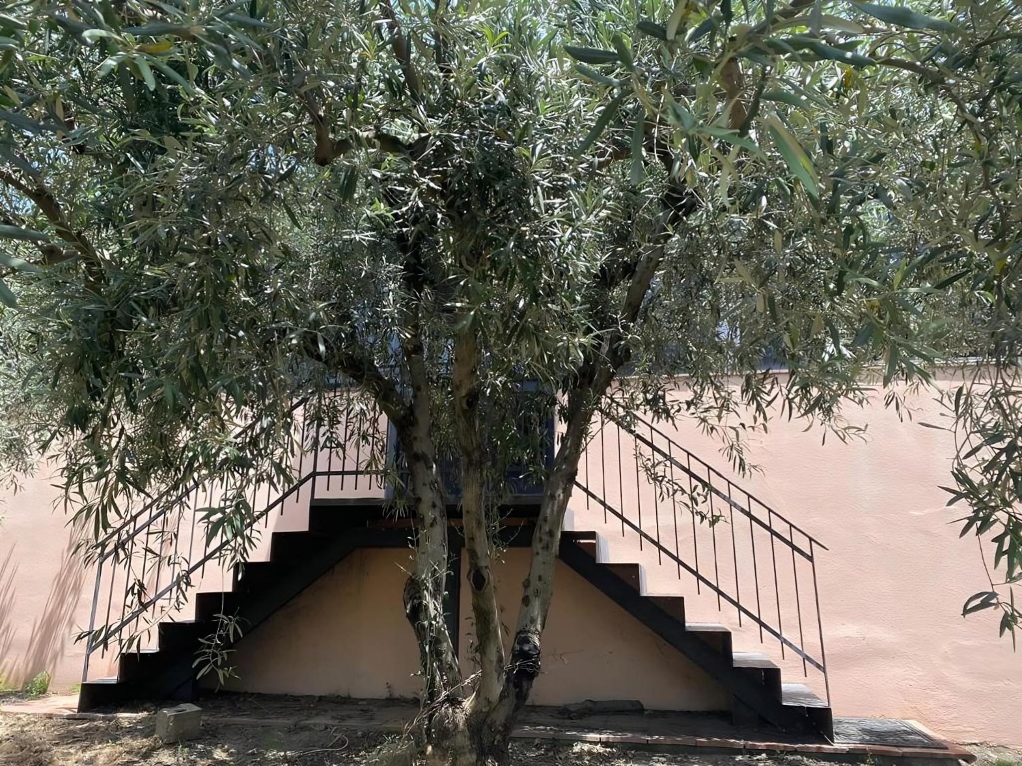 Agriturismo Gianferrante, photo 34