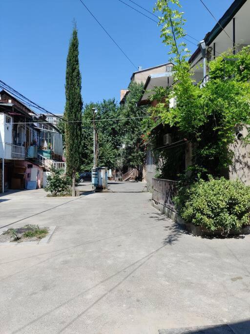 Nika's Apartment in an Old Tbilisi. Vere. view 5