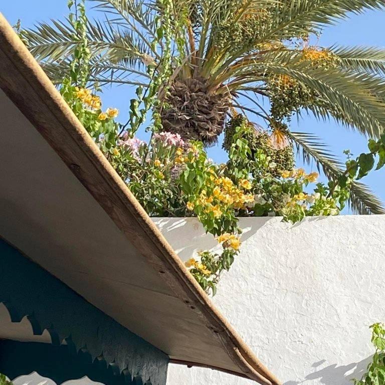 Midoun Vacations - Djerbahouch - Property Image 11