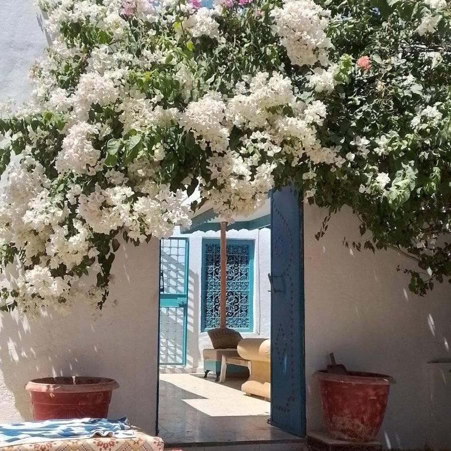 Midoun Vacations - Djerbahouch - Property Image 12