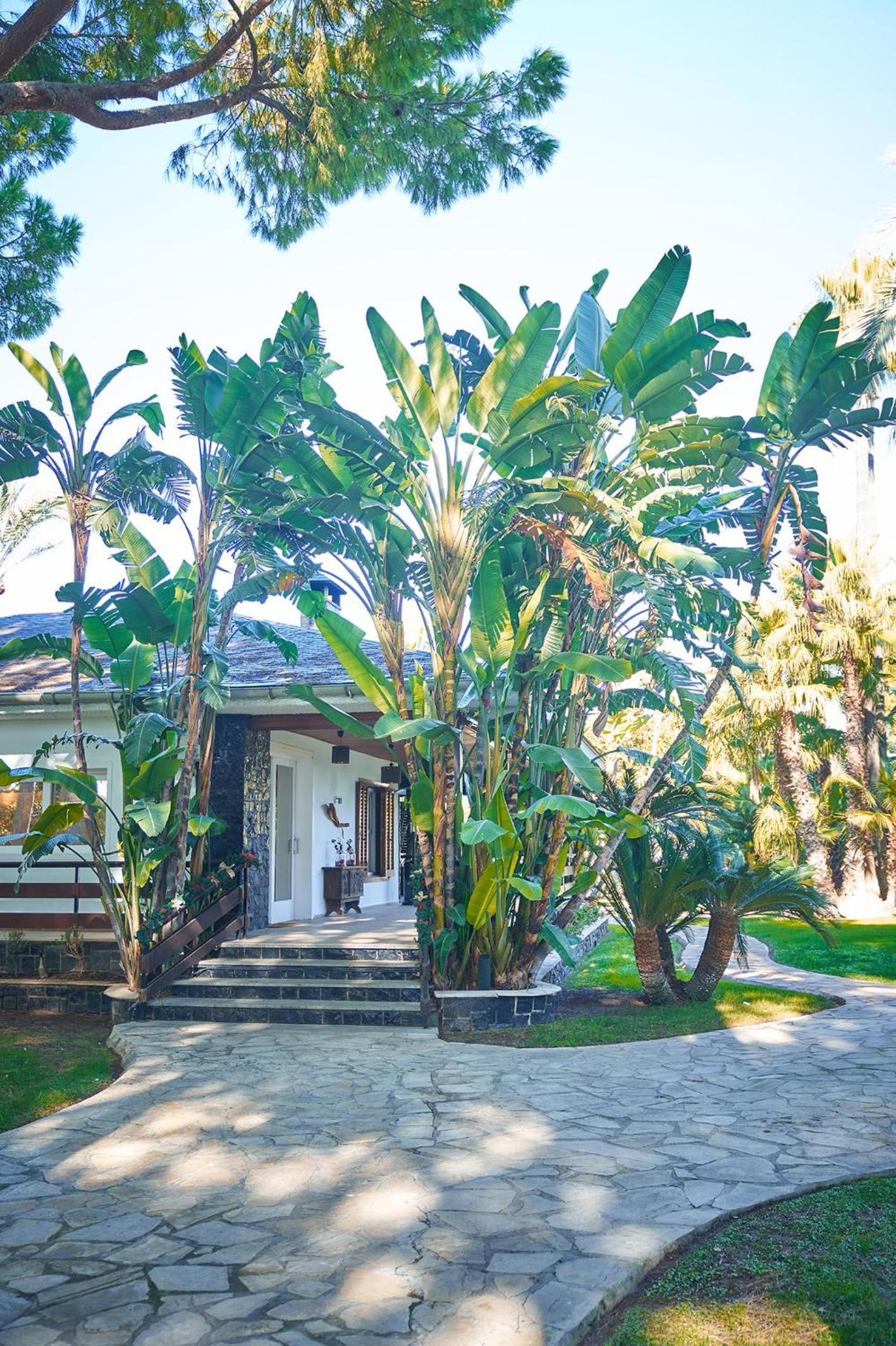 El Oasis Villa Resort