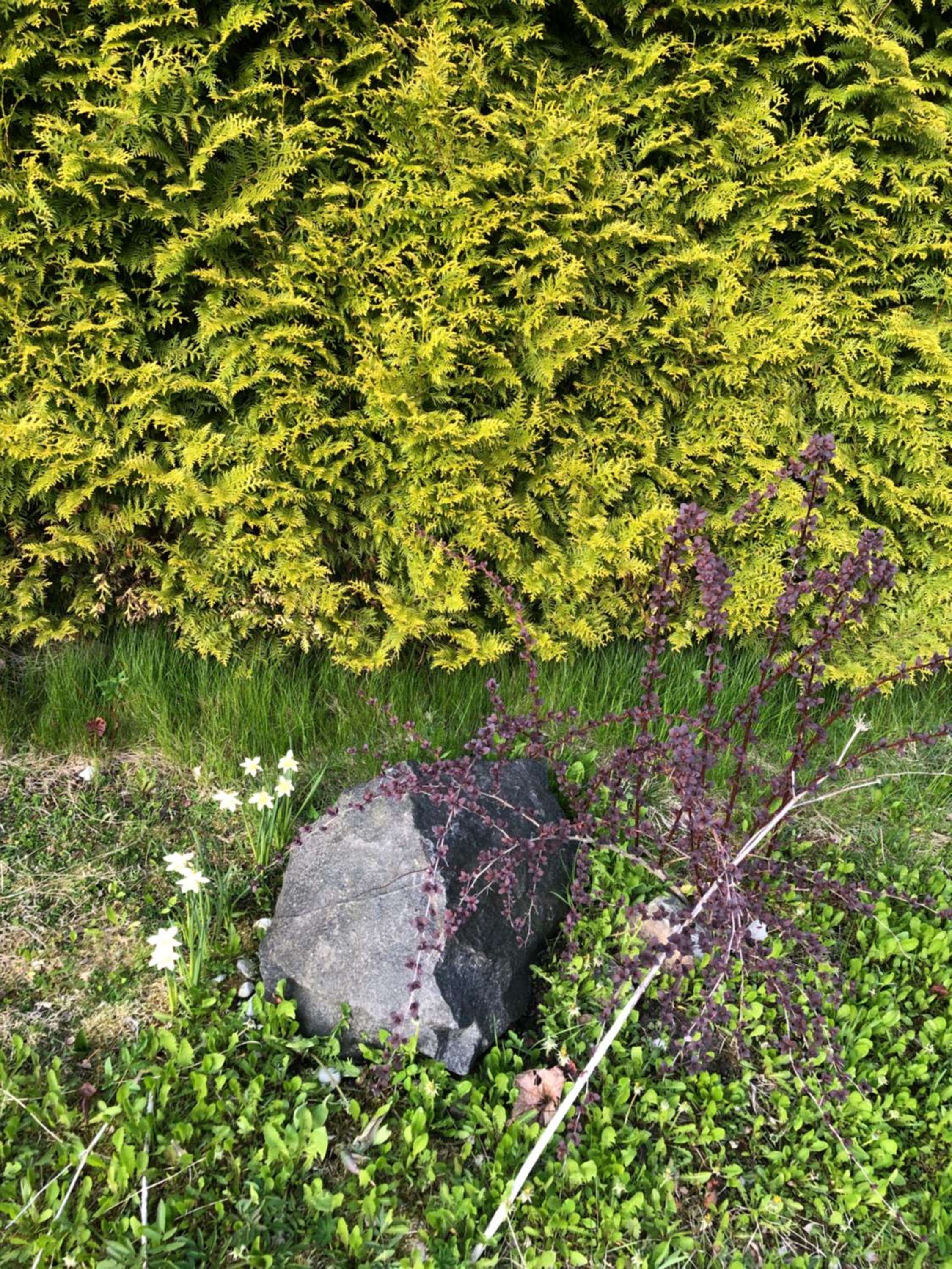 Ollallaa Hiiumaa