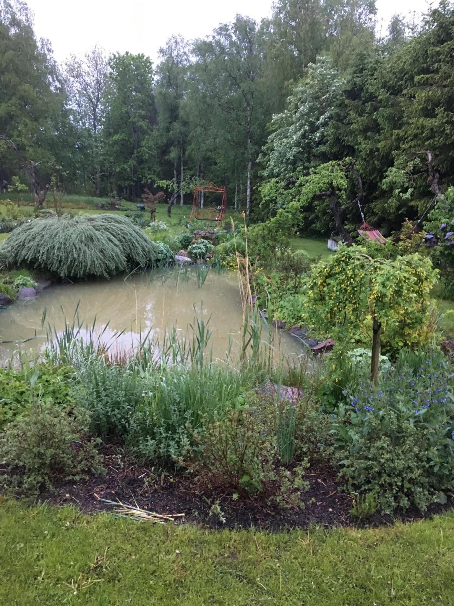 Ollallaa Hiiumaa