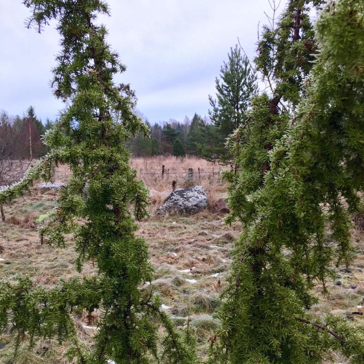 Ollallaa Hiiumaa