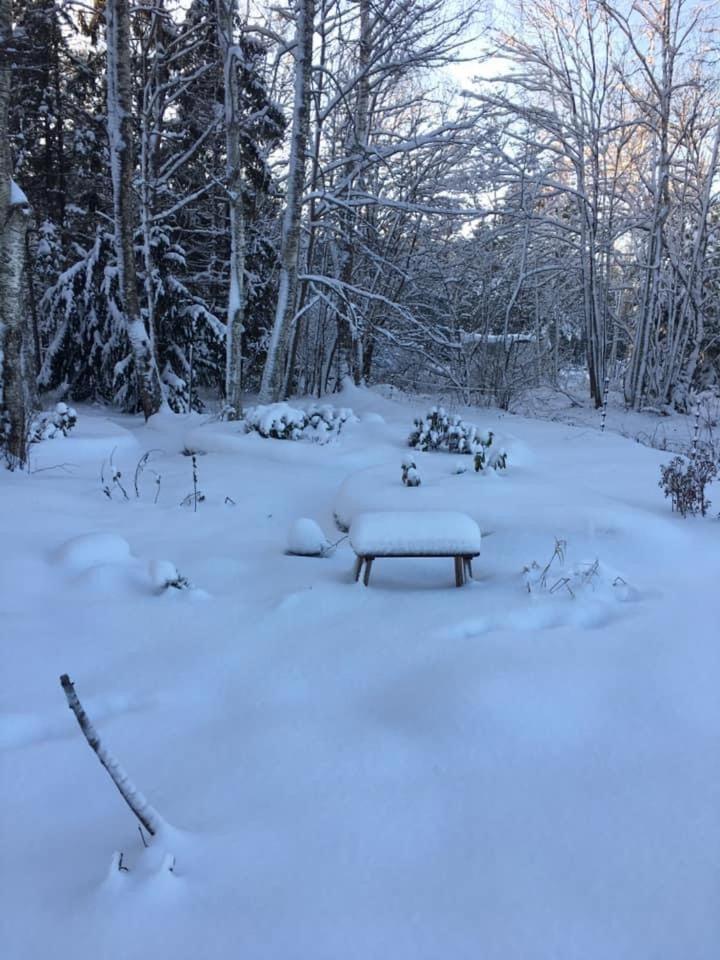 Ollallaa Hiiumaa