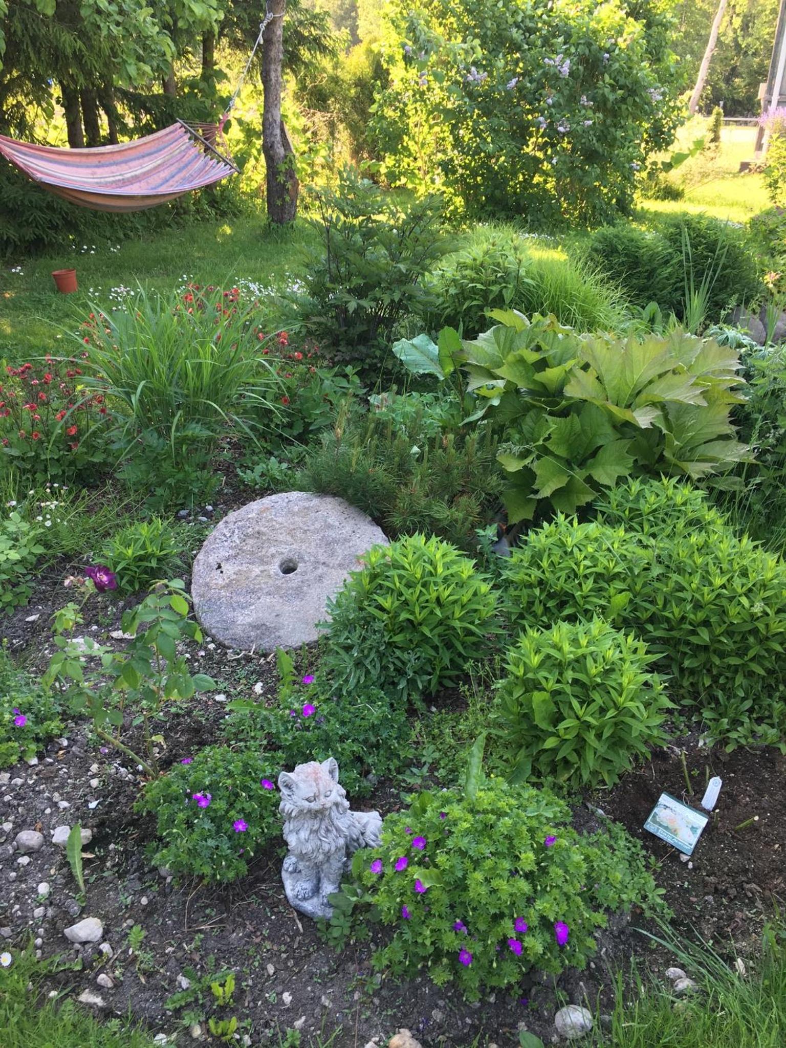 Ollallaa Hiiumaa