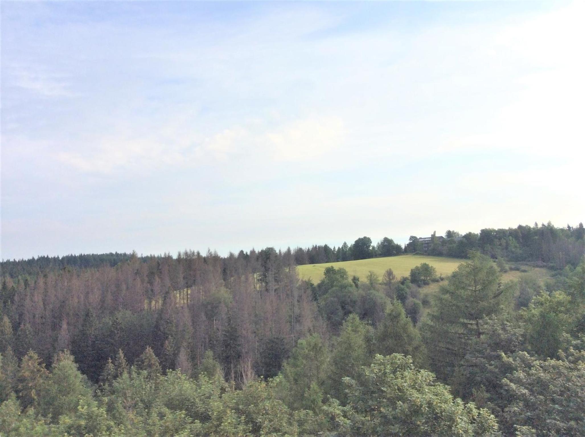 Ferienwohnung App 256