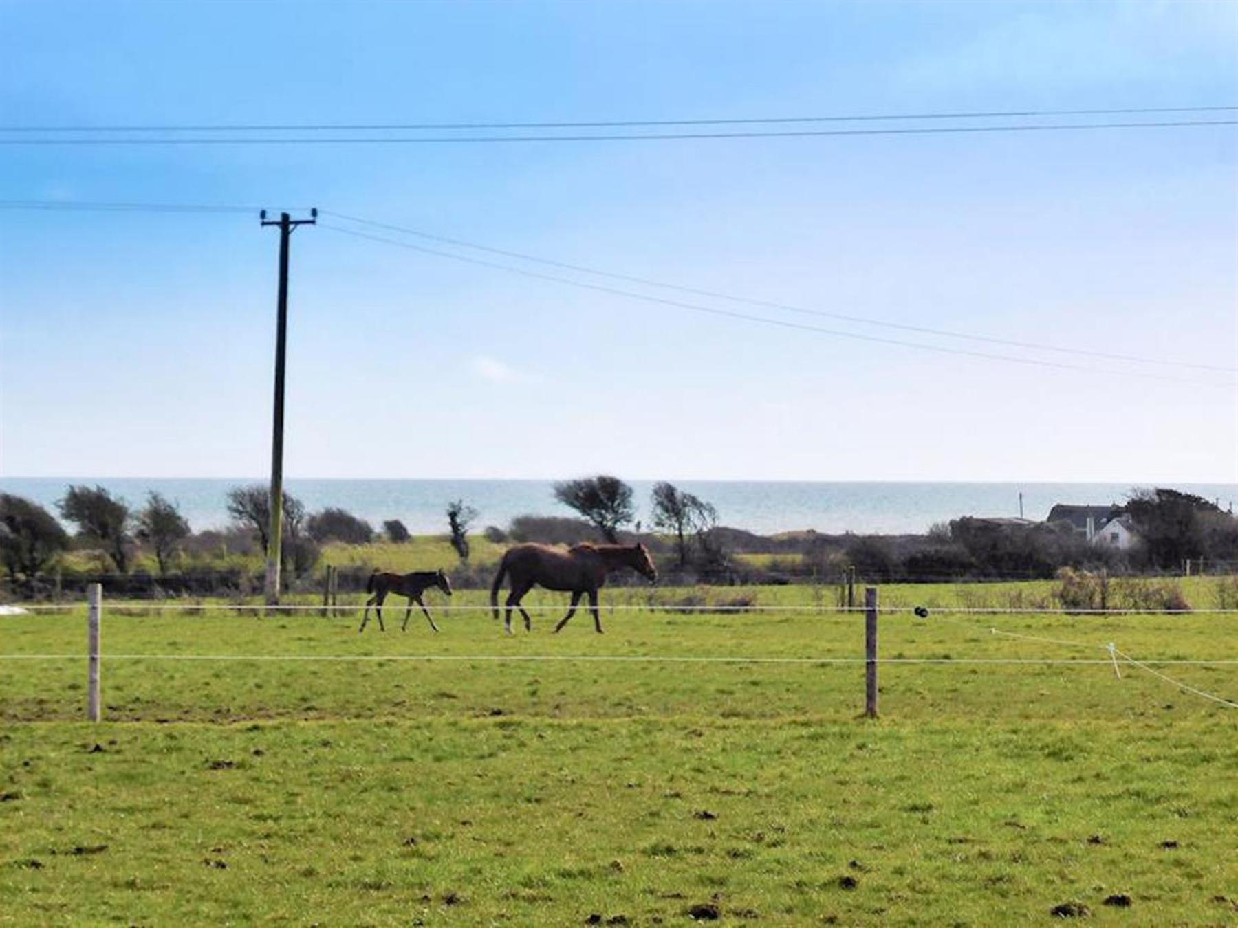 Hook Holiday Cottage Kimore by Trident Holiday Homes