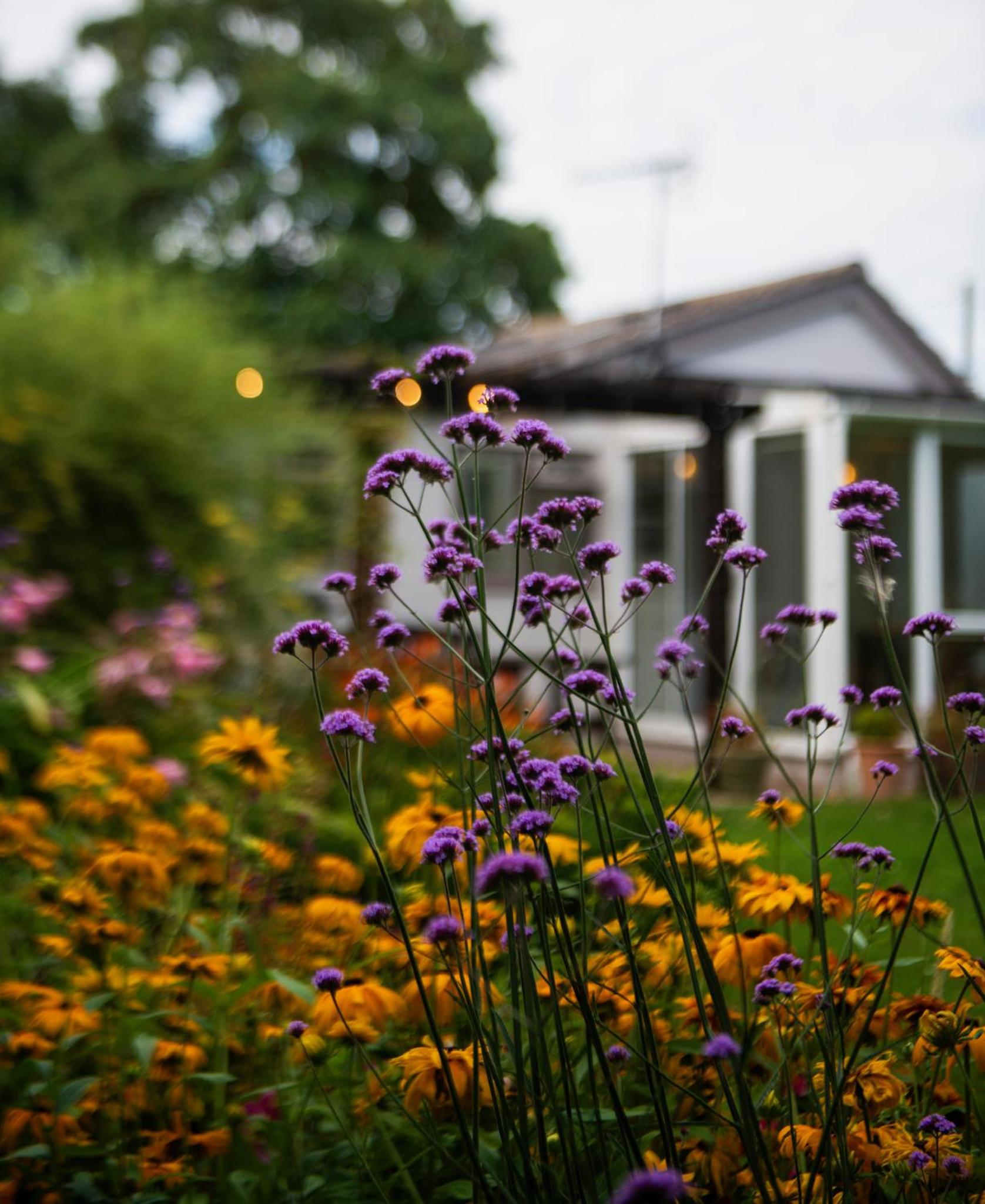 The Garden Cottage, Wenhaston, Suffolk, near coast view 3