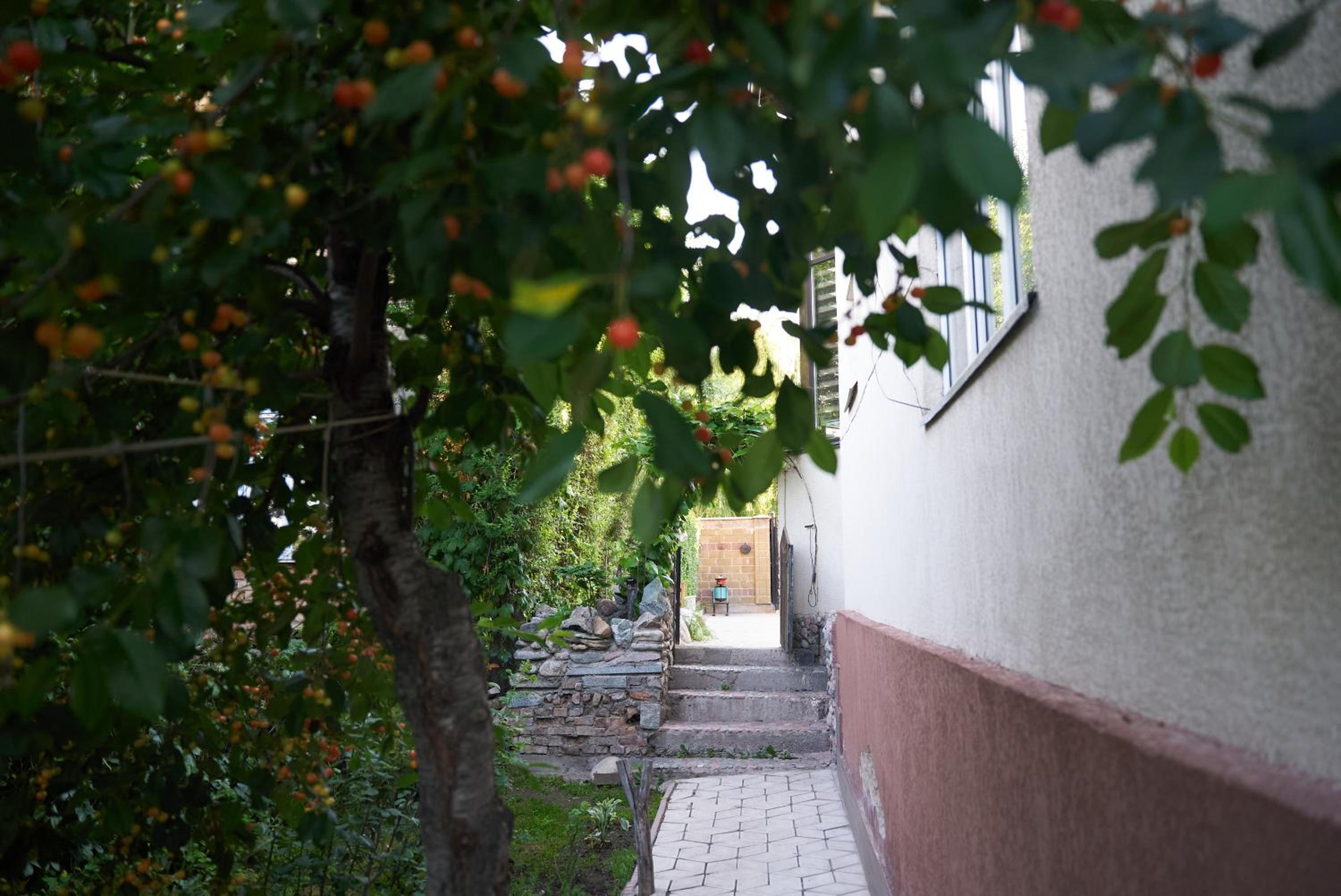 Photo 33