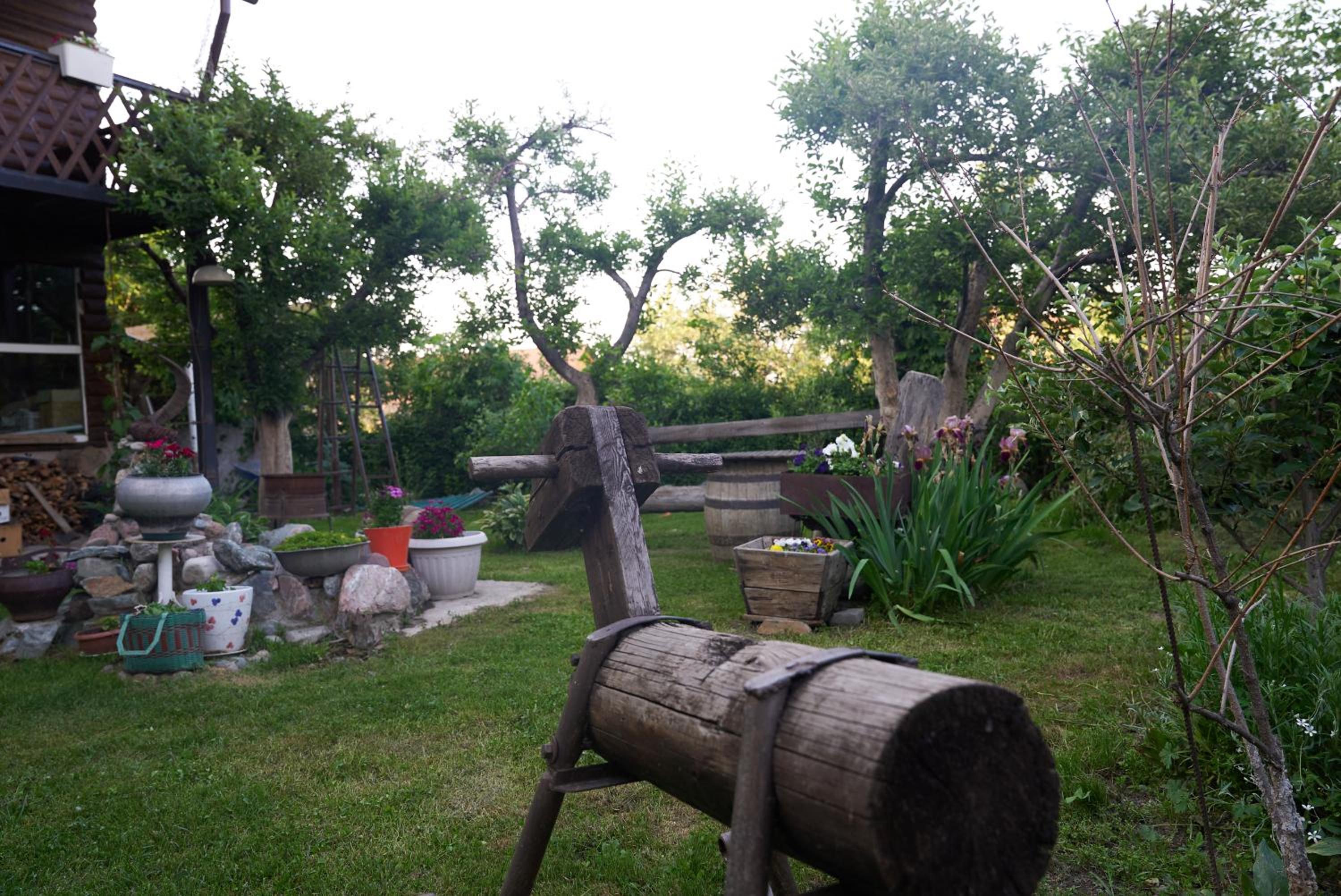 Photo 32