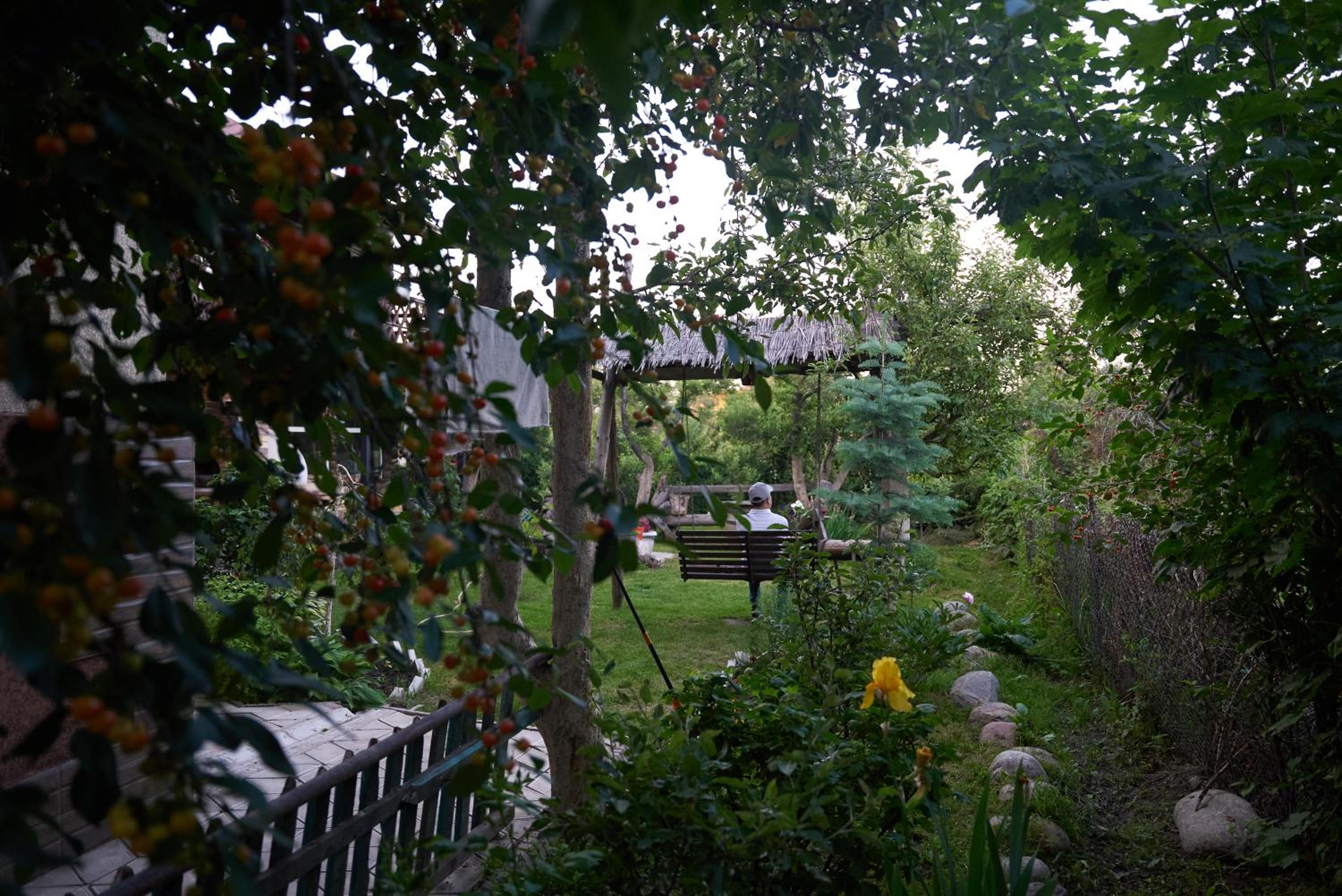 Photo 41
