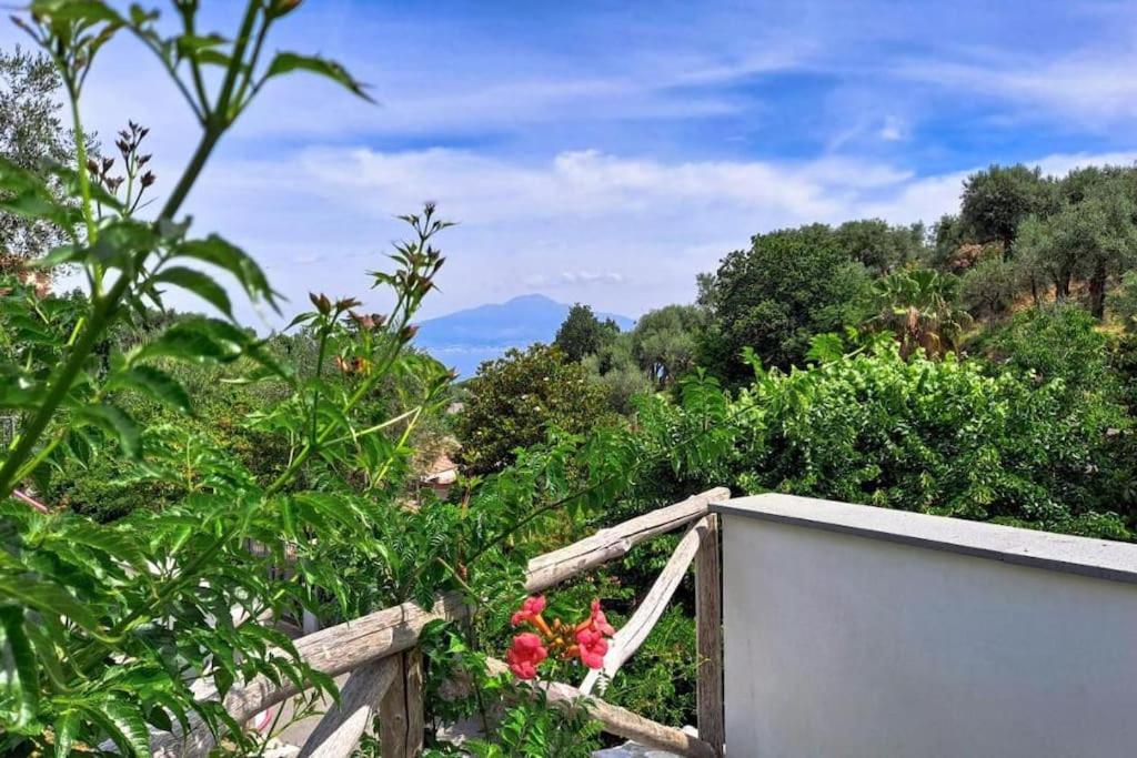 Villa Annachiara Sorrento Coast