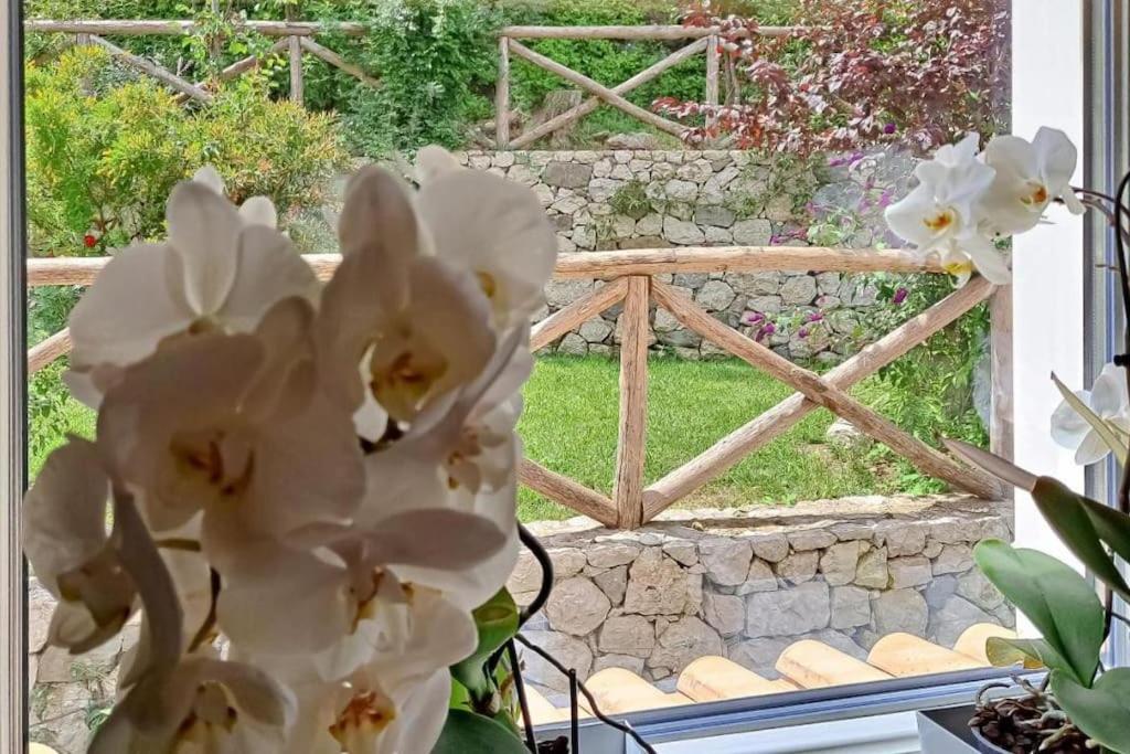 Villa Annachiara Sorrento Coast
