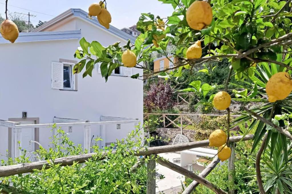 Villa Annachiara Sorrento Coast
