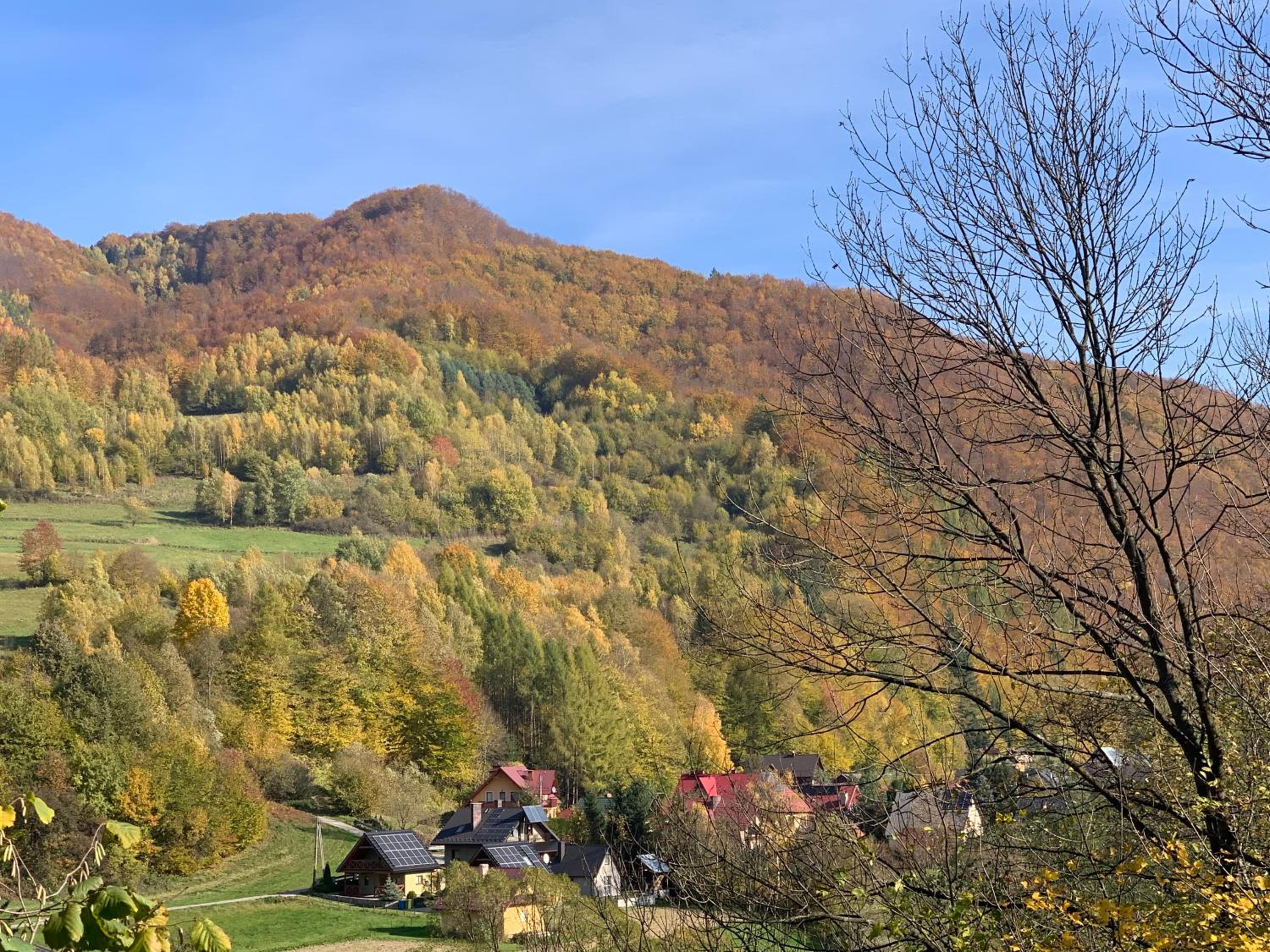 Domki nad Dunajcem view 2