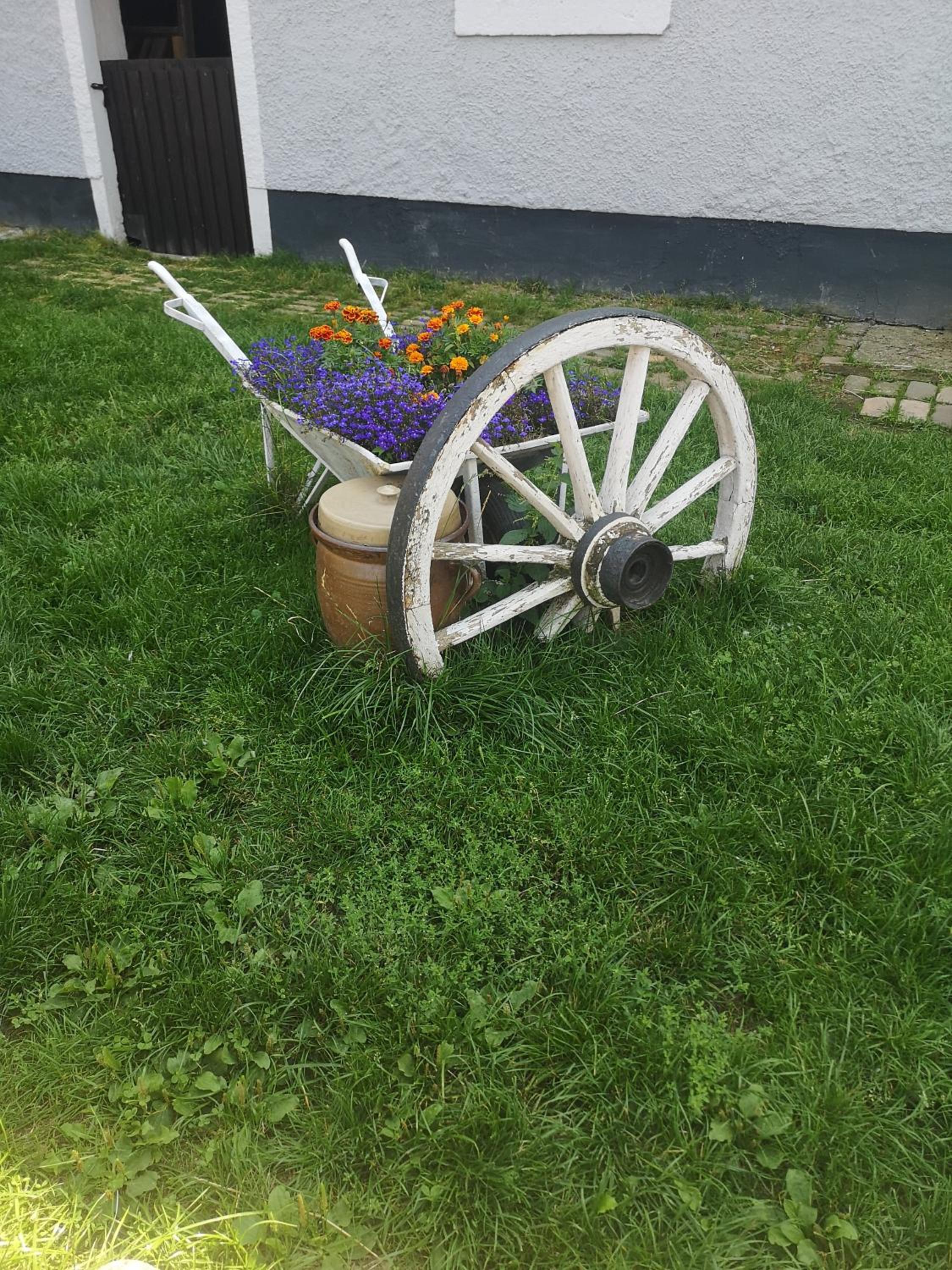 Gutshof und Ferienwohnung Proft