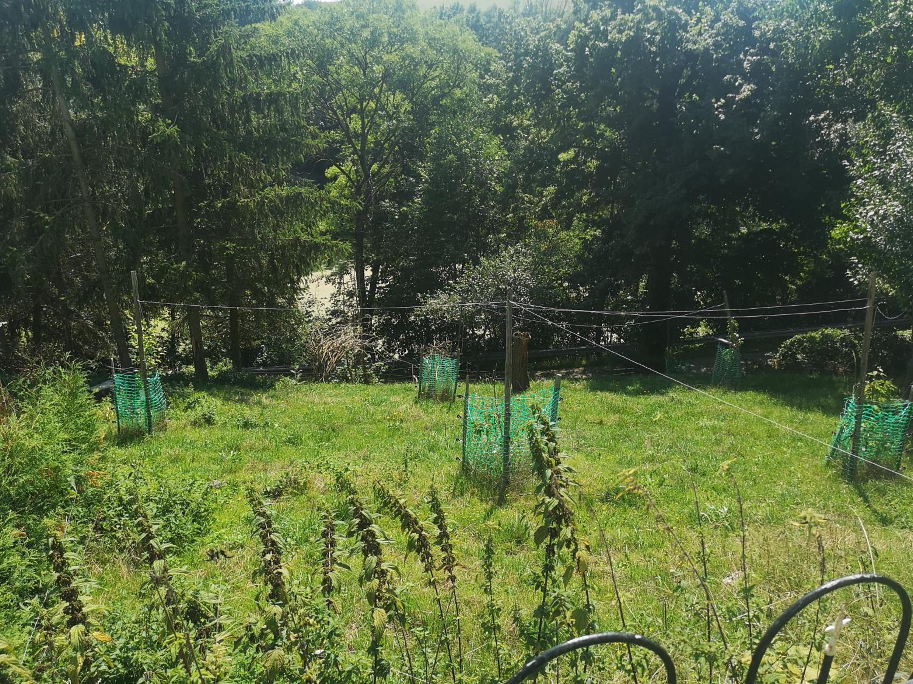 Gutshof und Ferienwohnung Proft