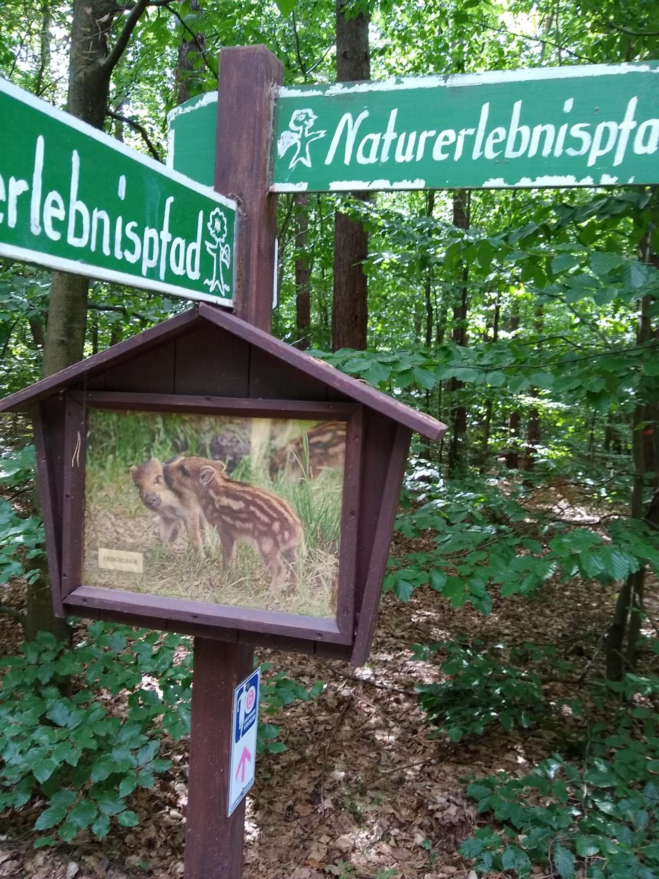Zwei Seen Ferienhaus