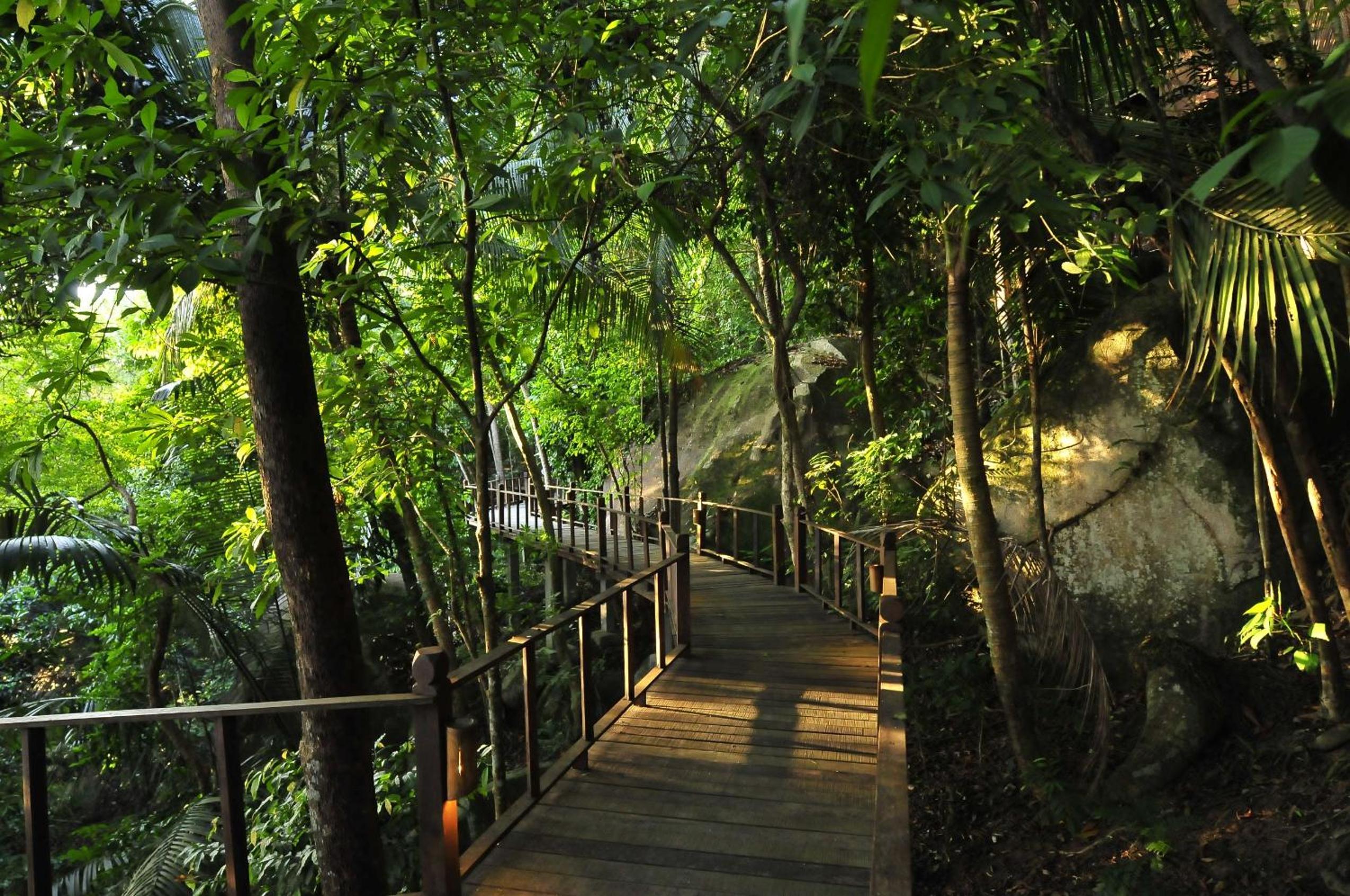Japamala Resort by Samadhi photo 5