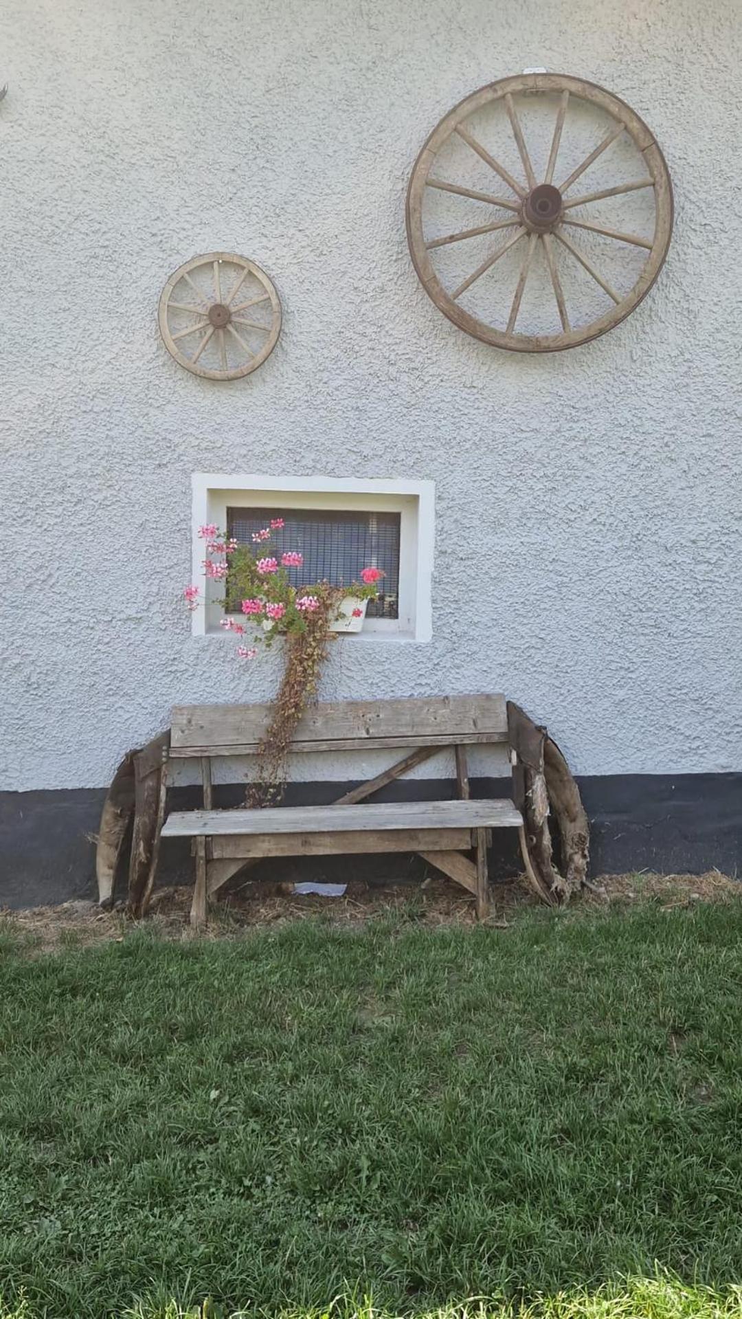 Gutshof und Ferienwohnung Proft