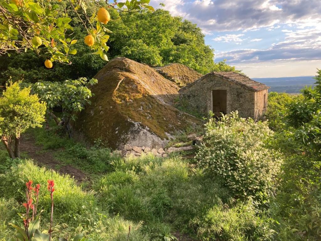 Casa do Meio em Quinta de São Pedro de Vir-a-Corça view 4
