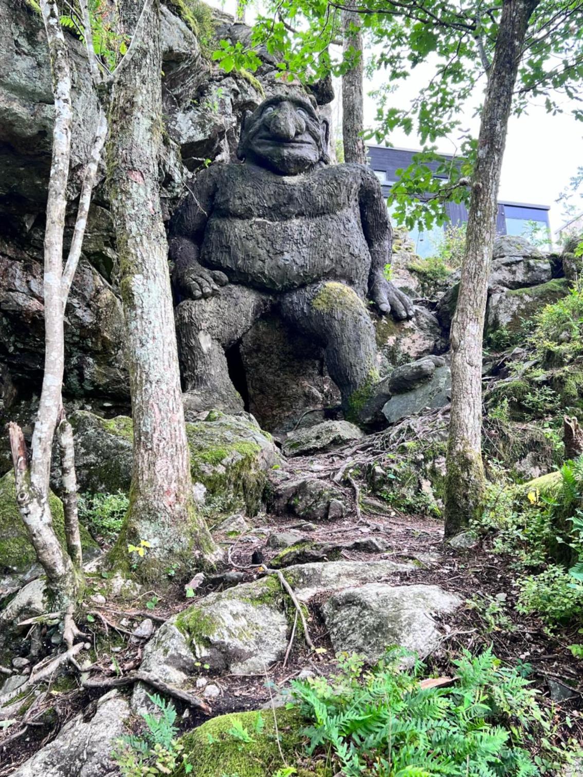 Photo 49