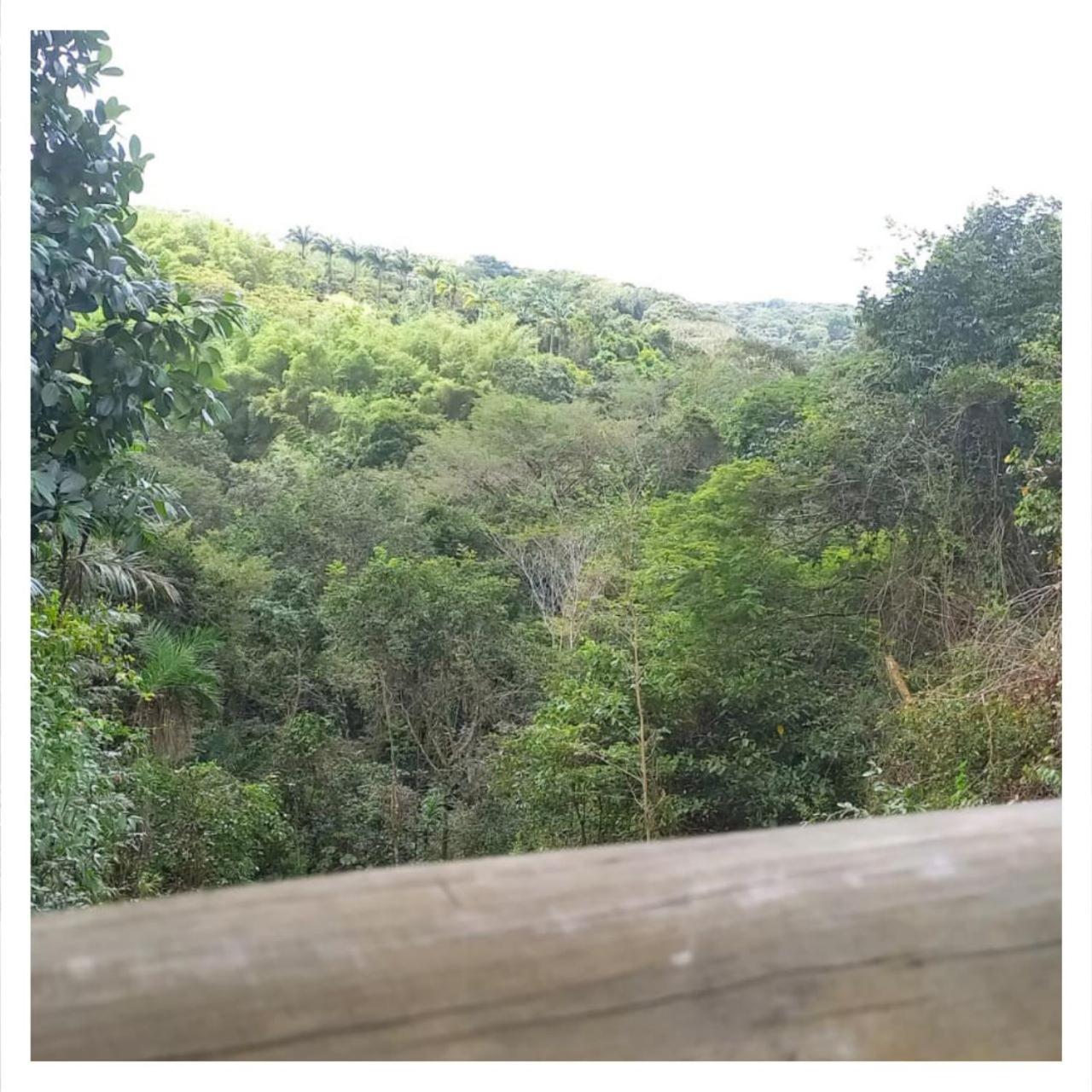 Ground Floor Flat in the Midst of Nature