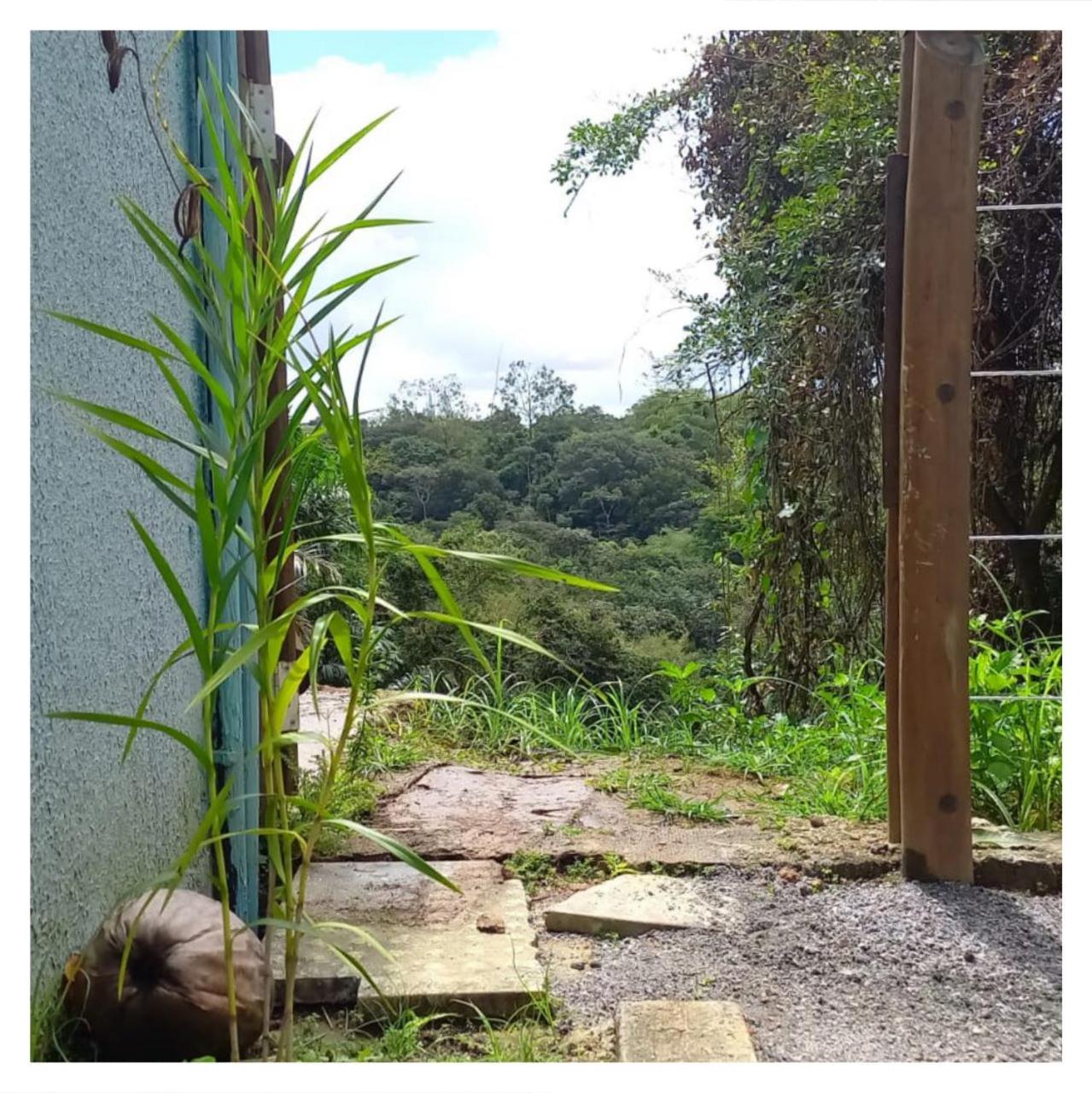 Ground Floor Flat in the Midst of Nature