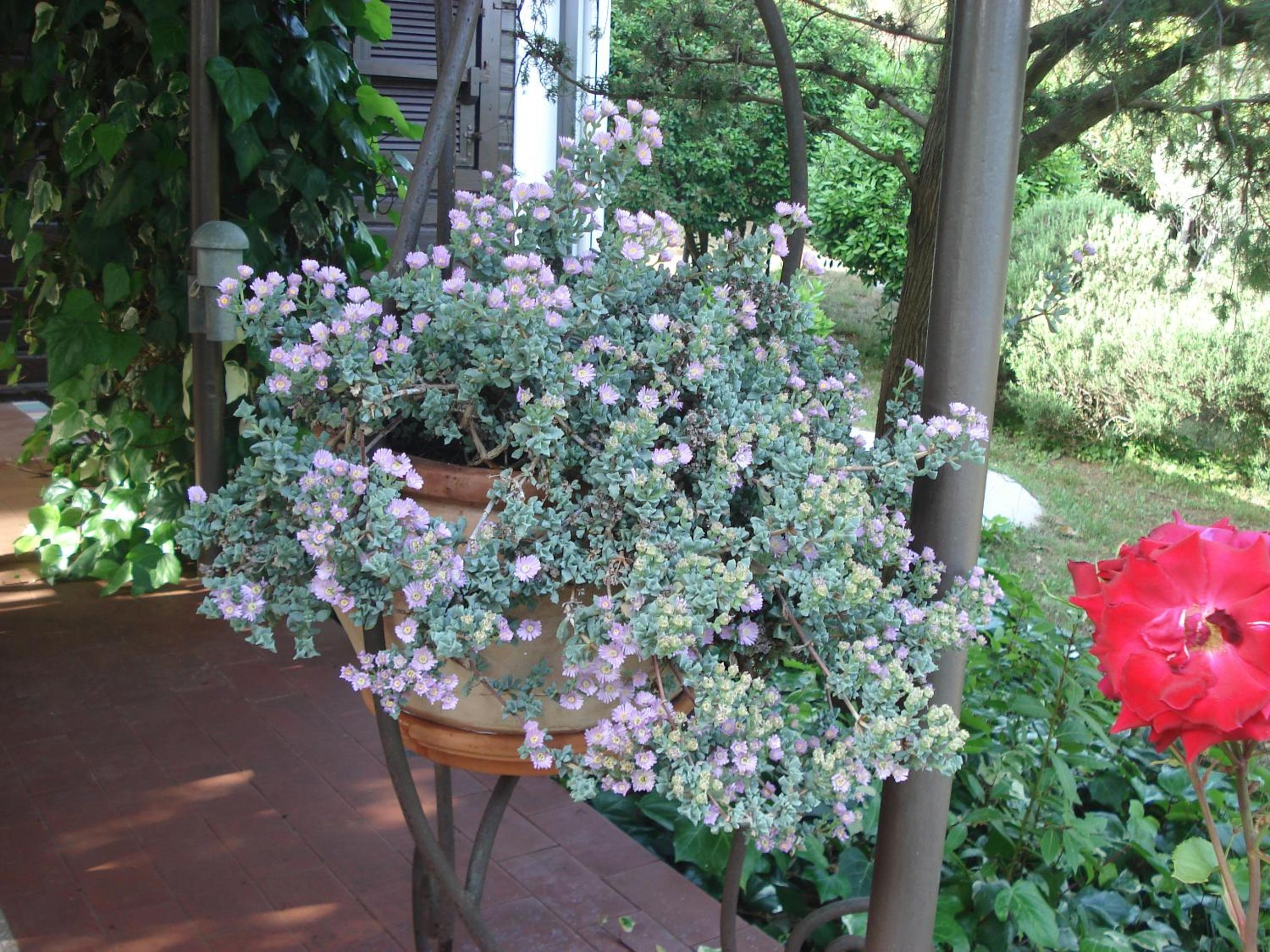 Photo 28