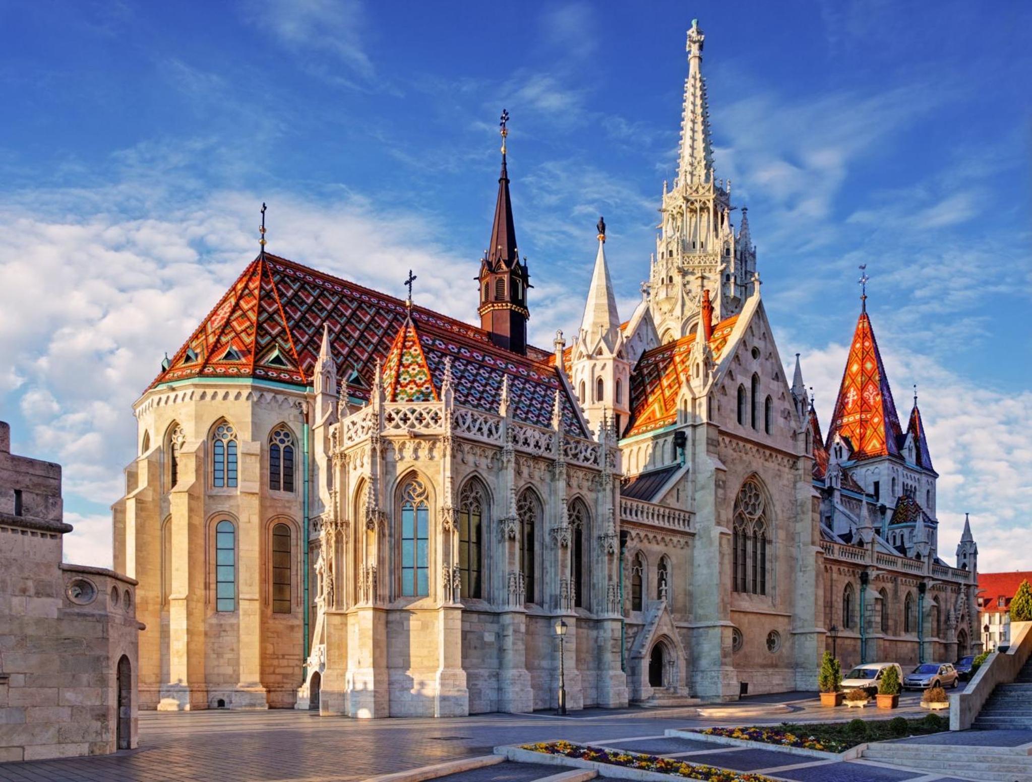 Buda Vibes