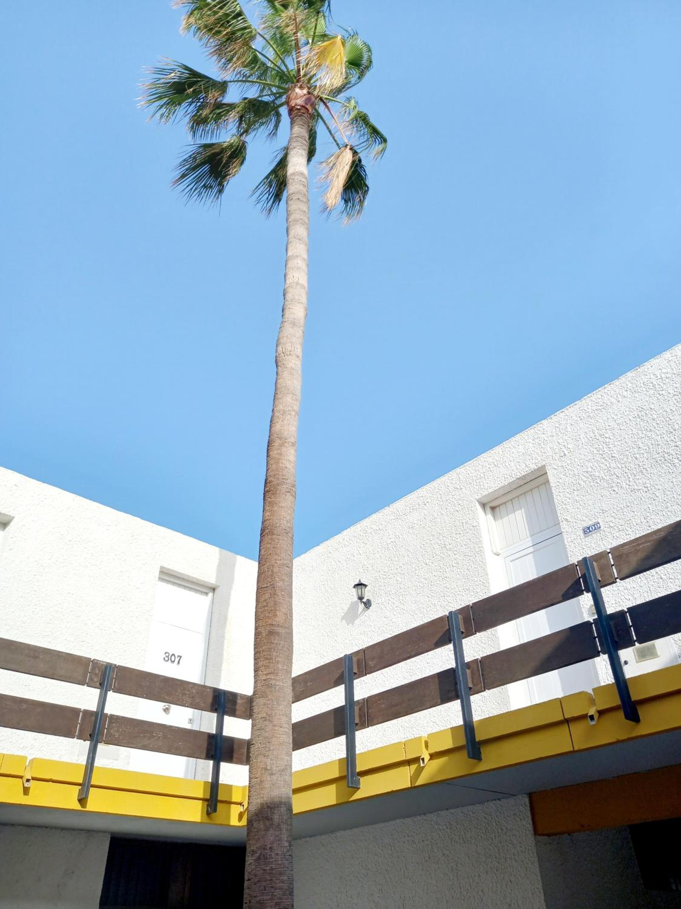 Papagayo Beach Apartments