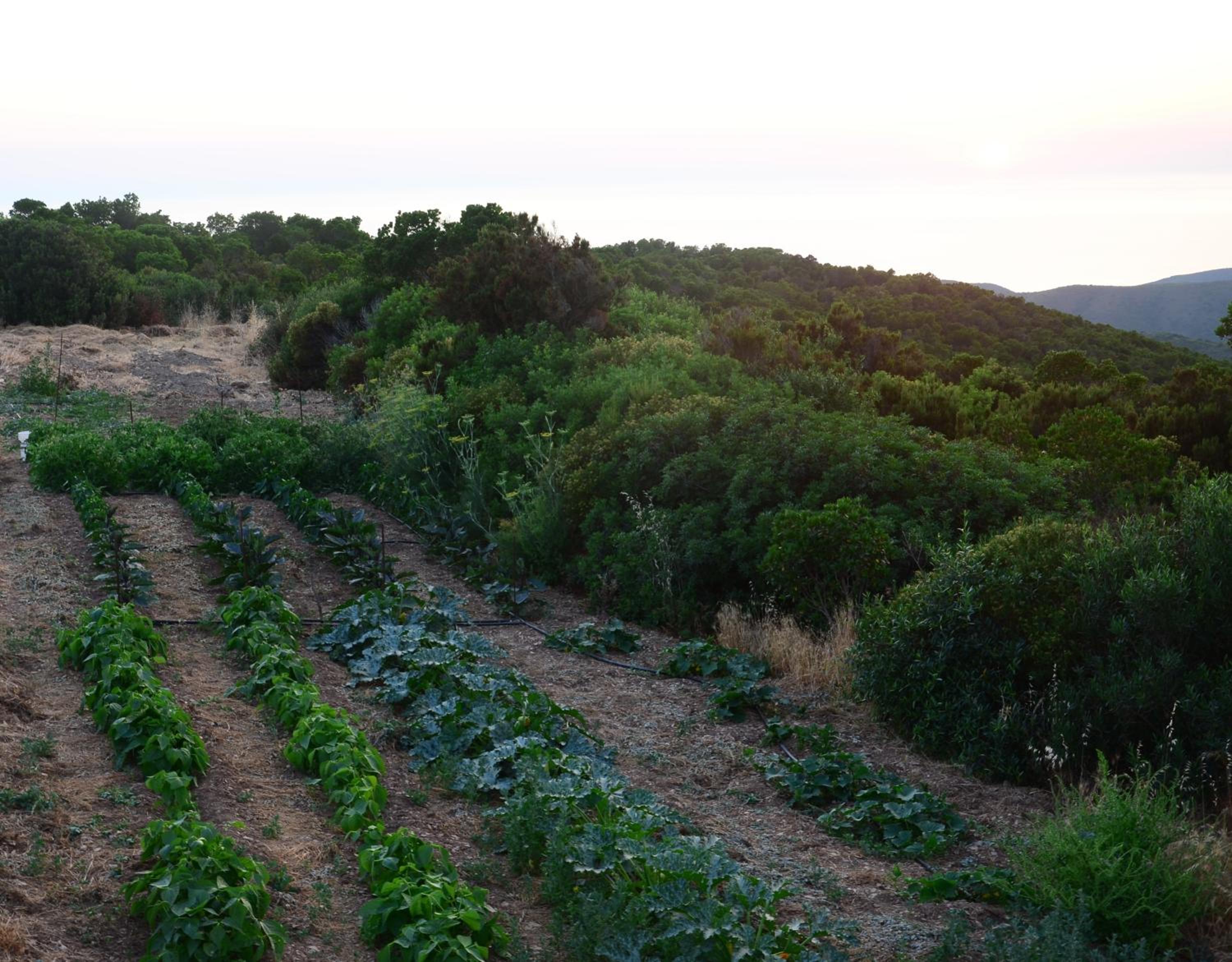 Agriturismo Costa Verde