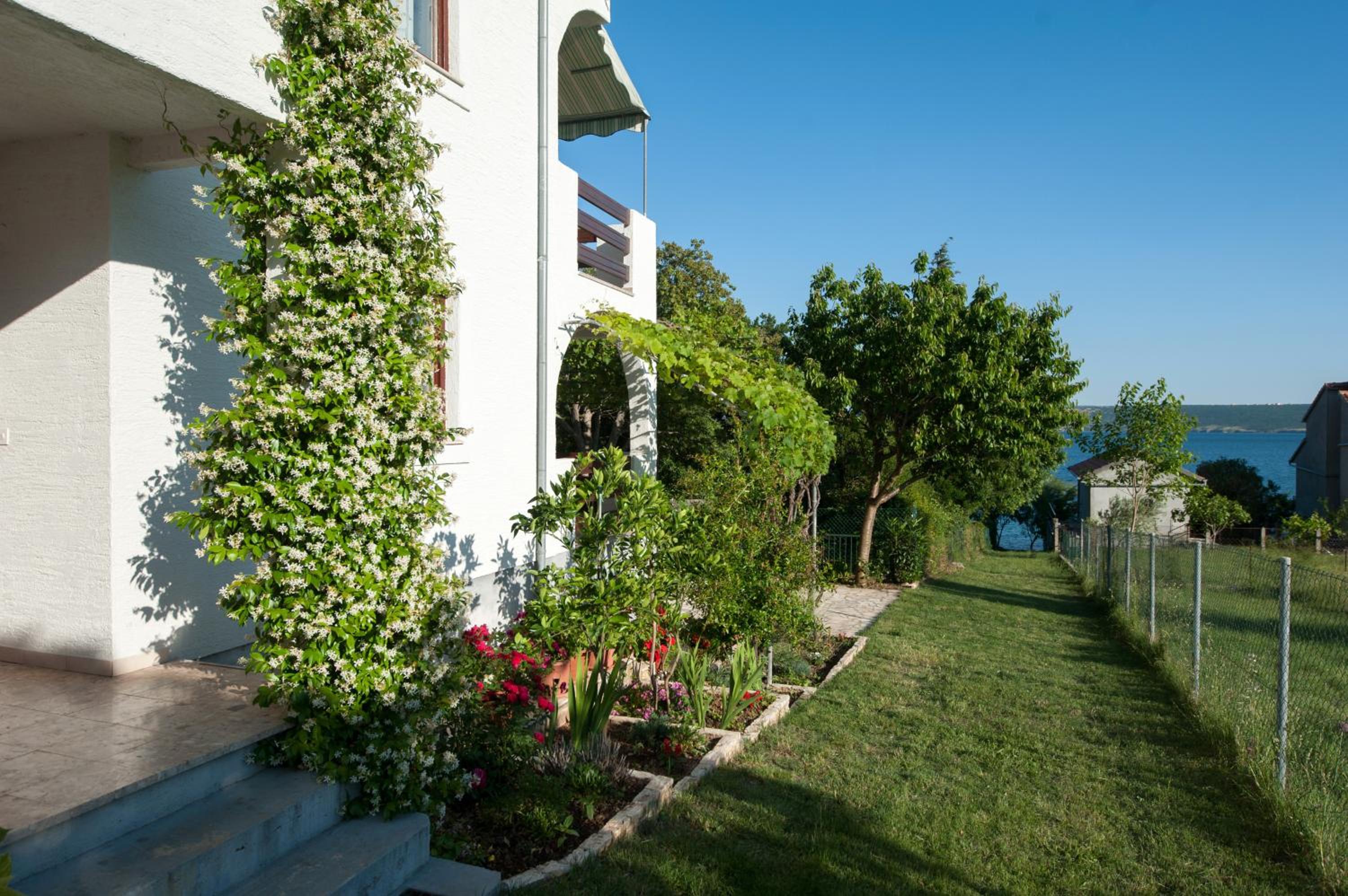 Apartments Ana view 3
