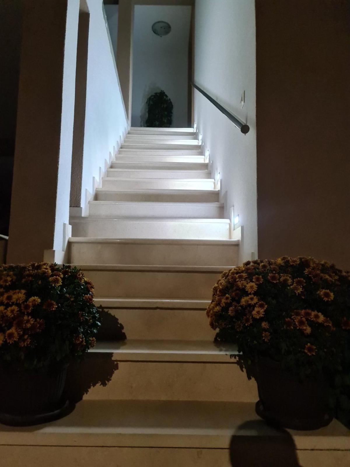 Lida apartments