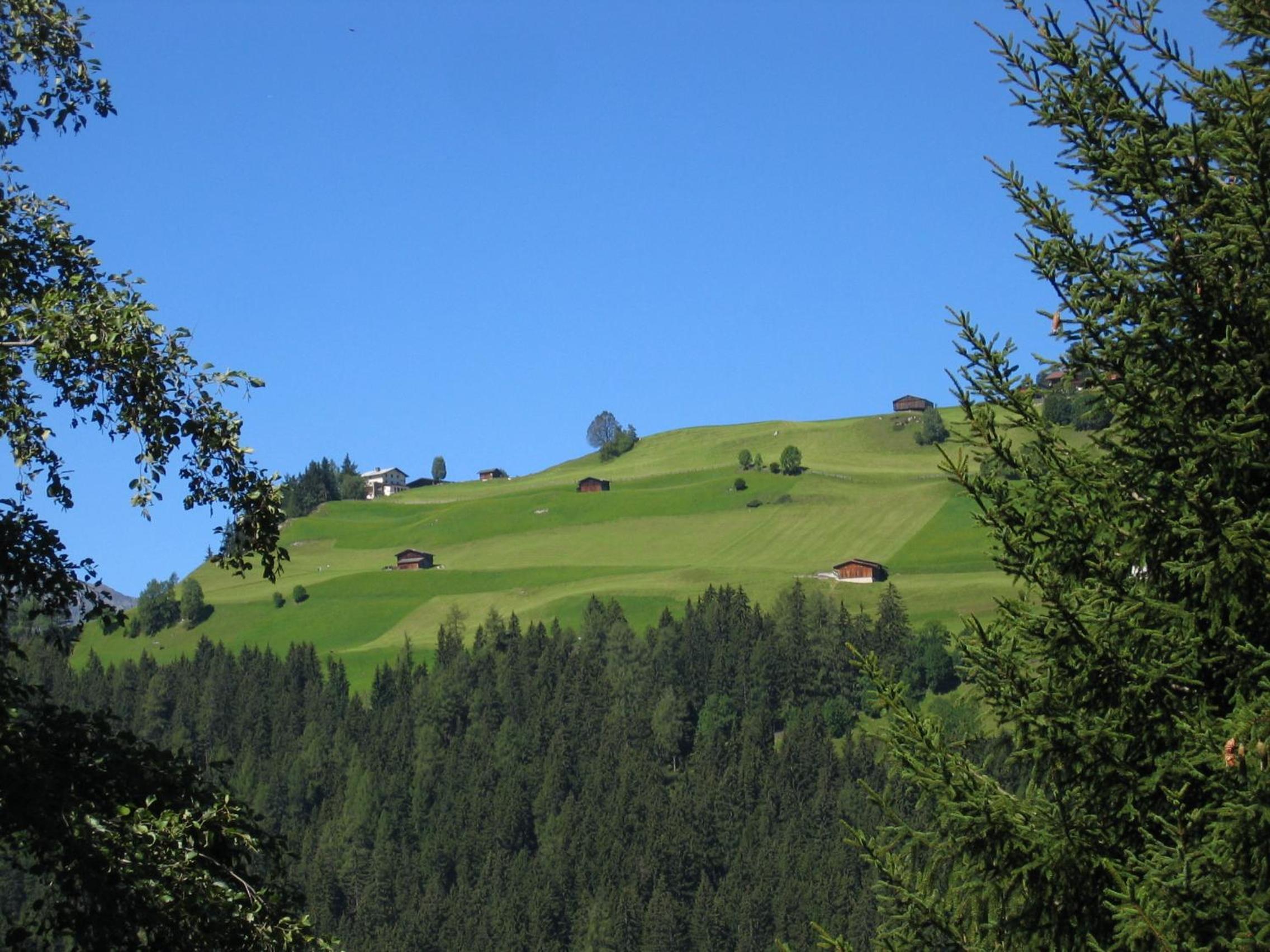 Photo 29