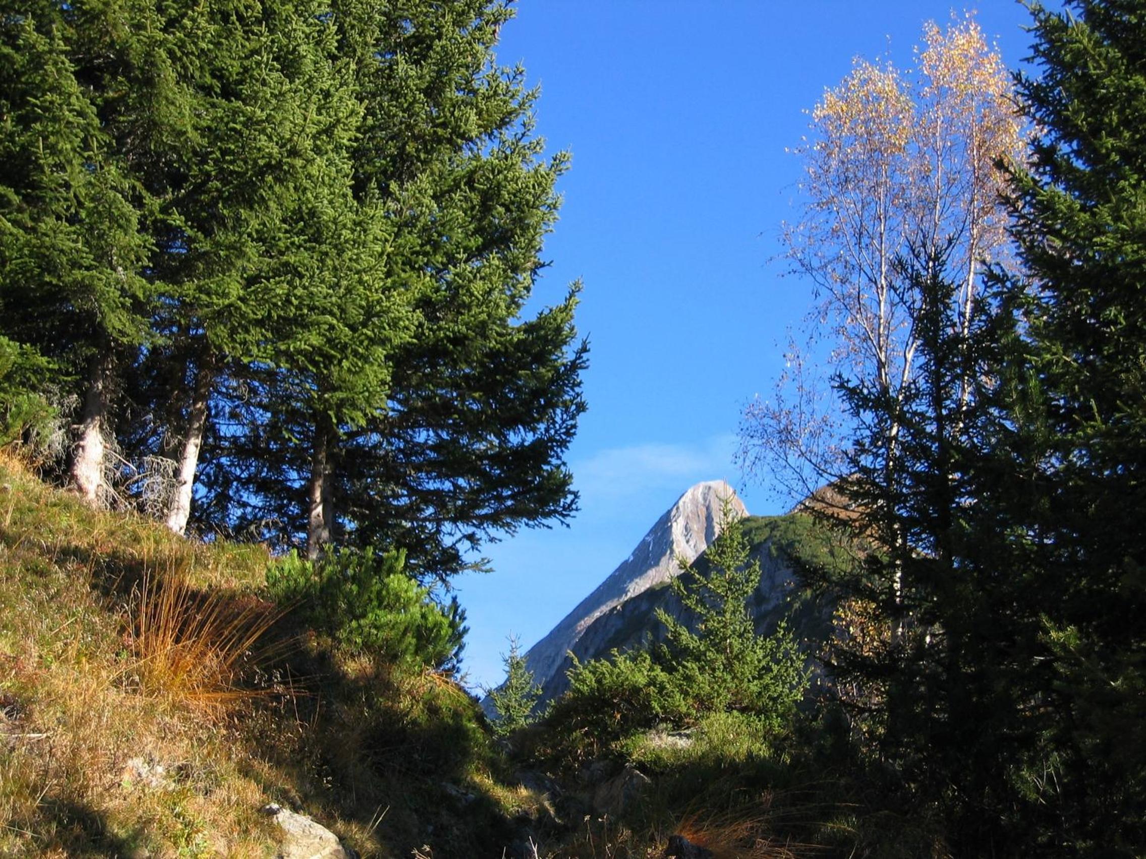 Photo 23
