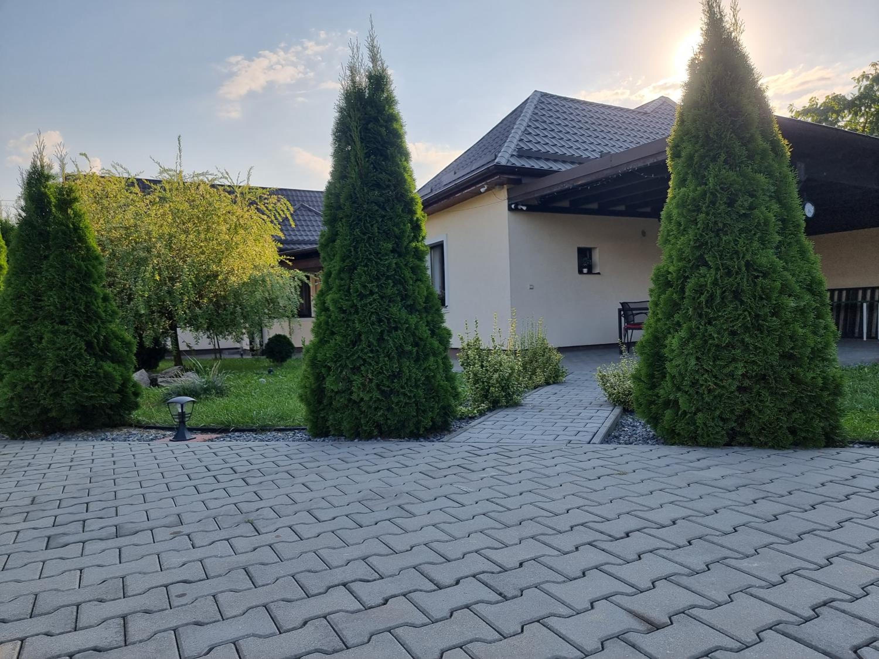Photo 56