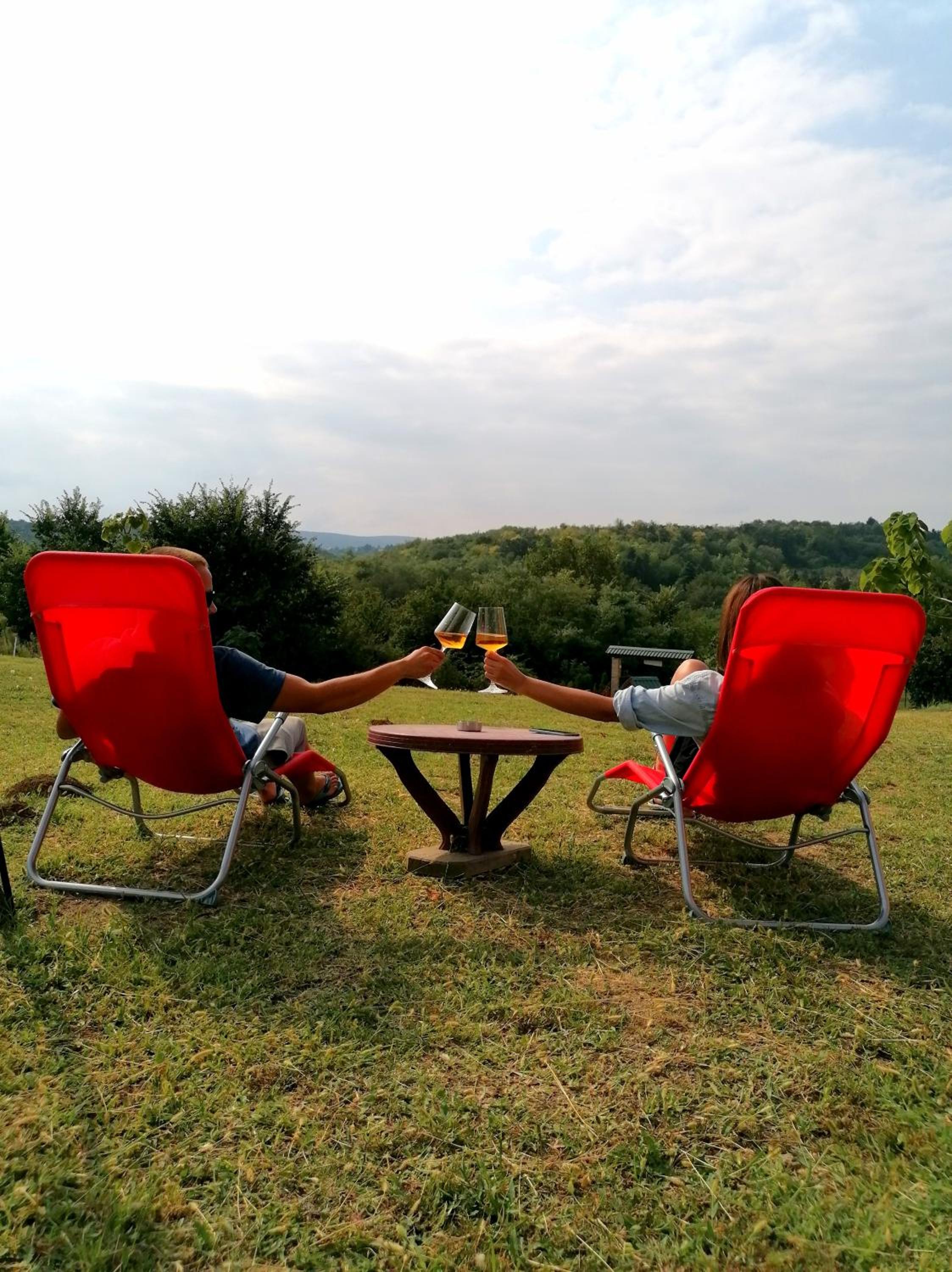 Sunny Side Fruska Gora- apartman A