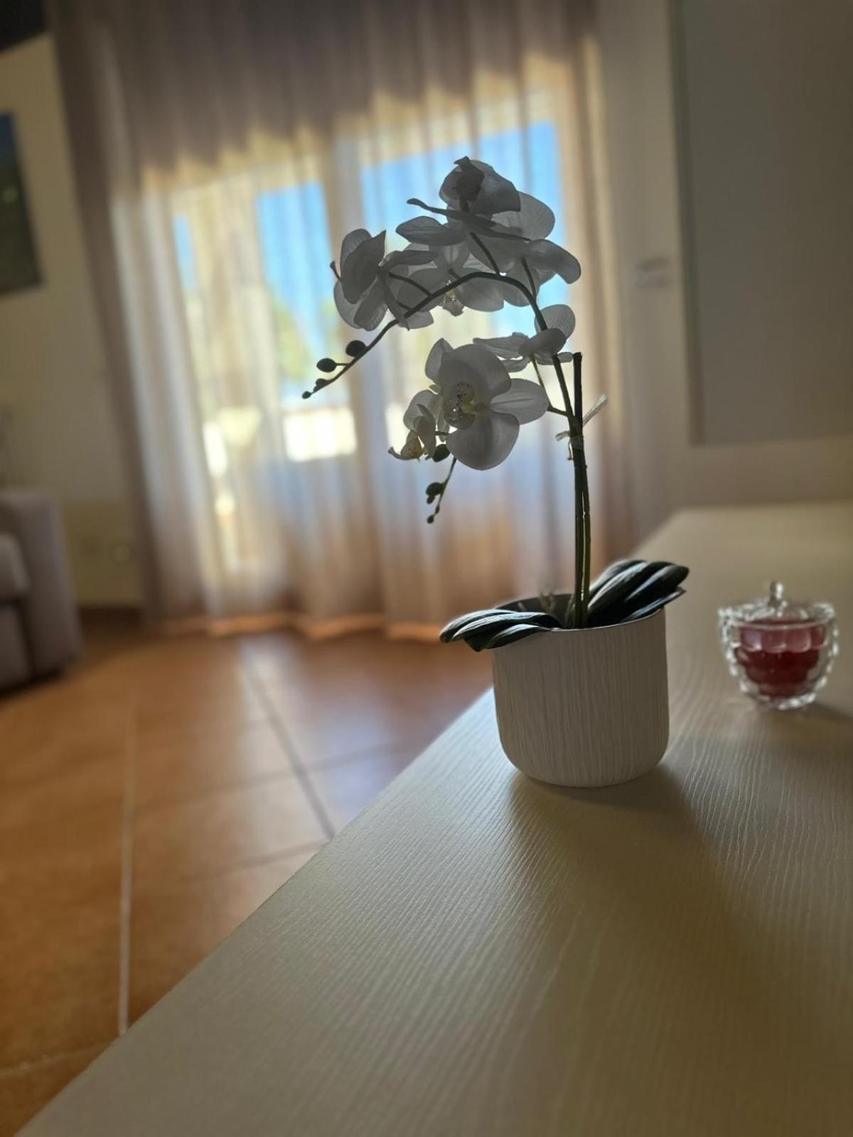 Le terrazze di Rosa view 3