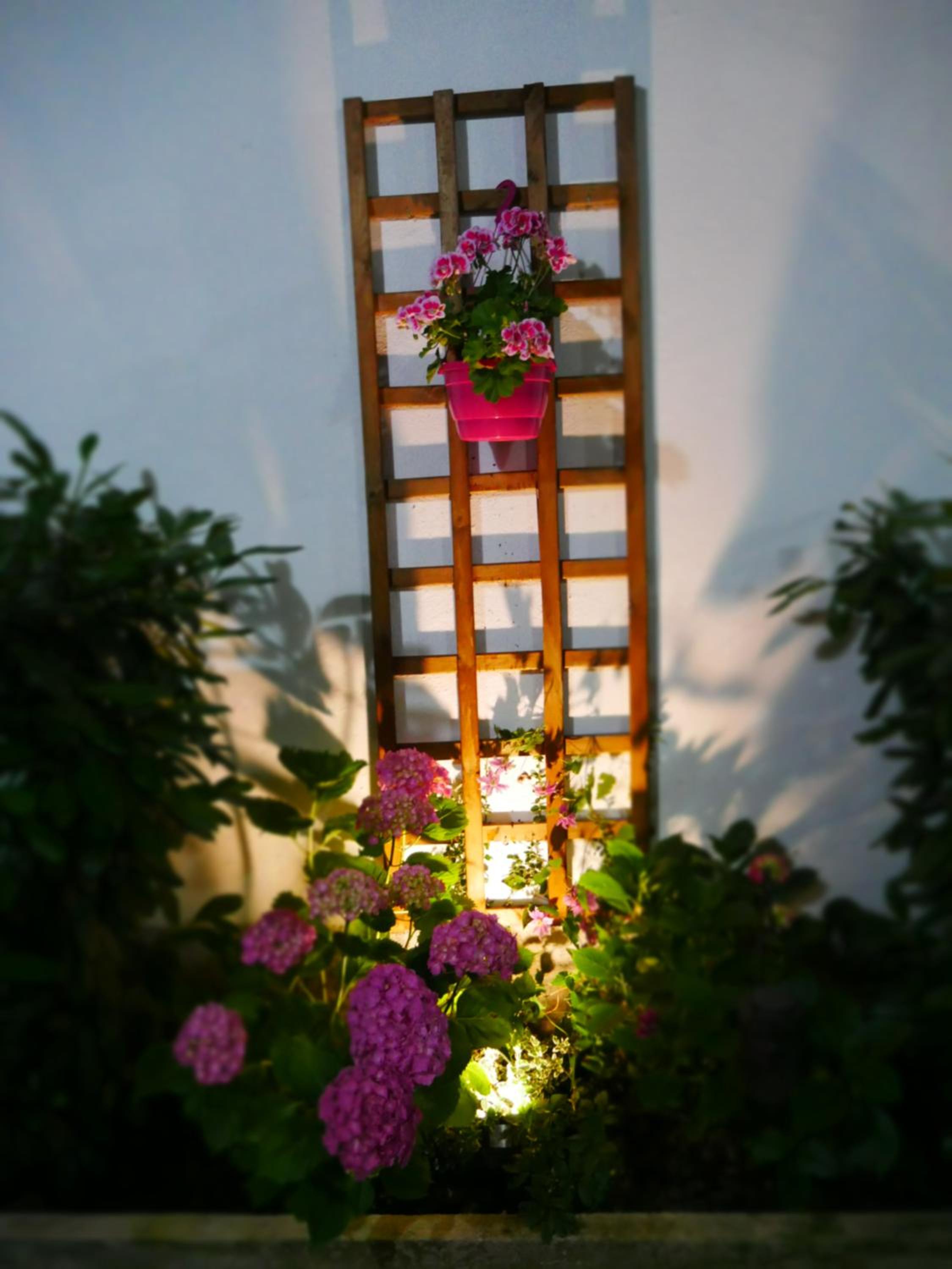 GUESTHOUSE MARIA / КЪЩА ЗА ГОСТИ МАРИЯ / GÄSTEHAUS MARIA
