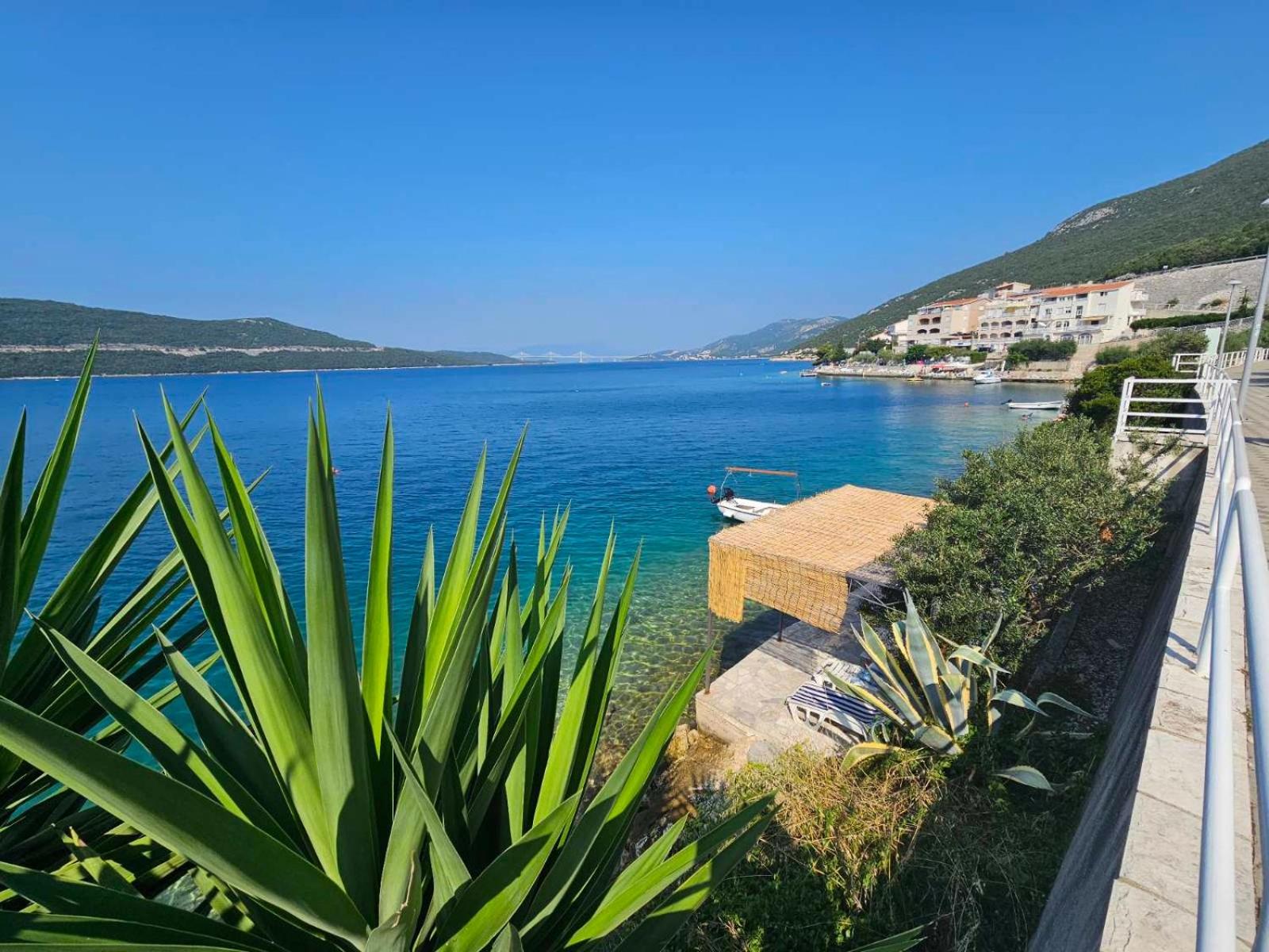 Orange Tree Mediterranean Beachfront House