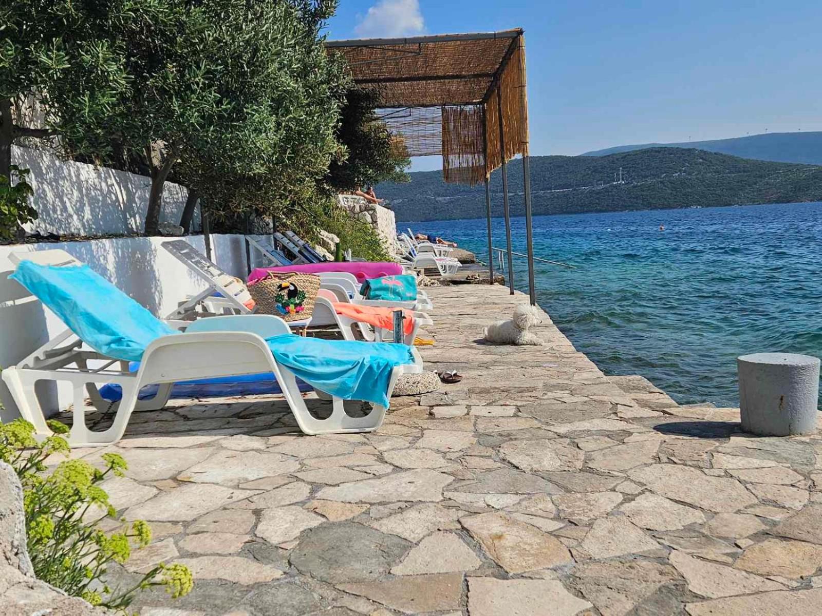 Orange Tree Mediterranean Beachfront House