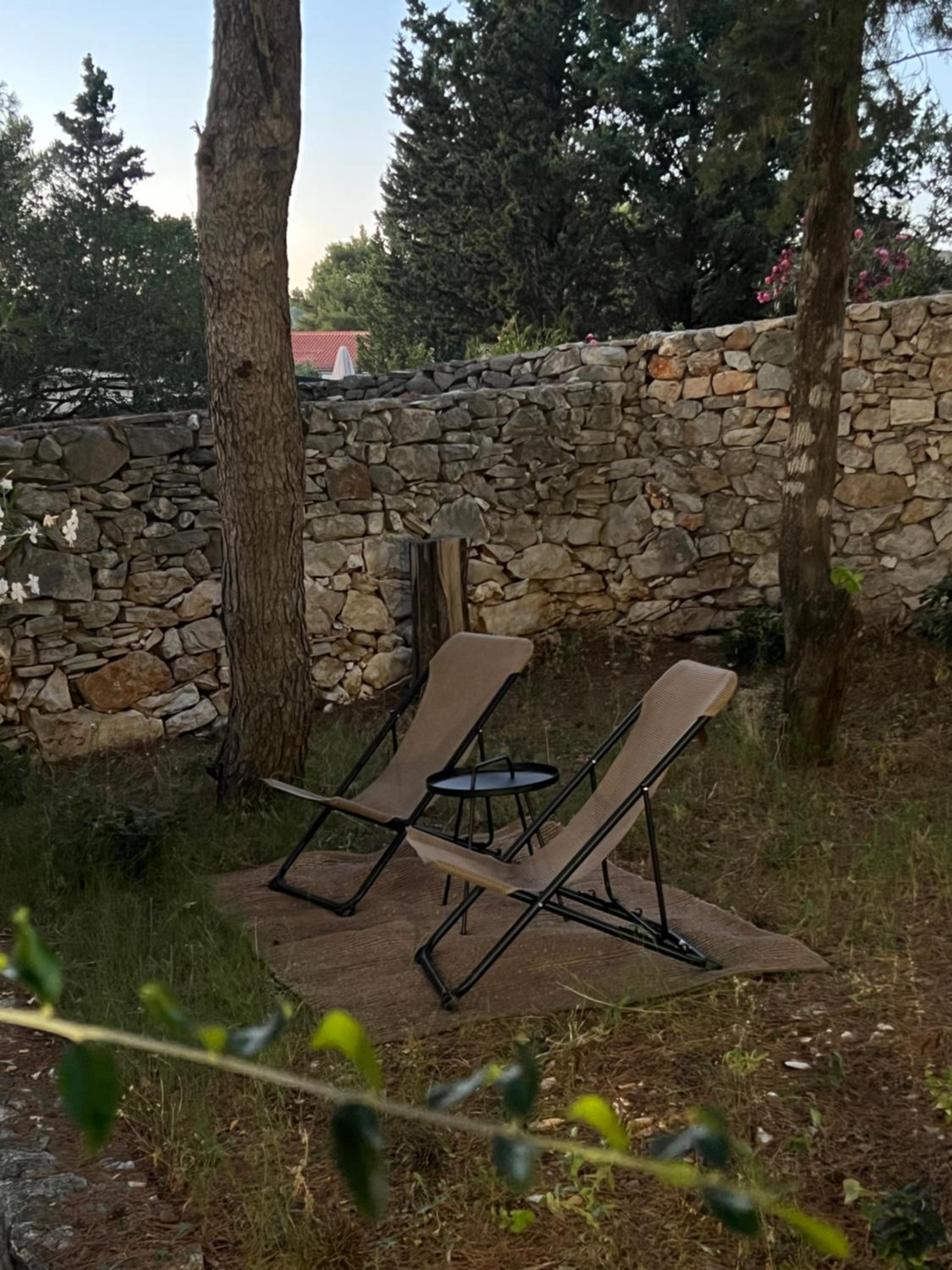 Villa Pinus view 4