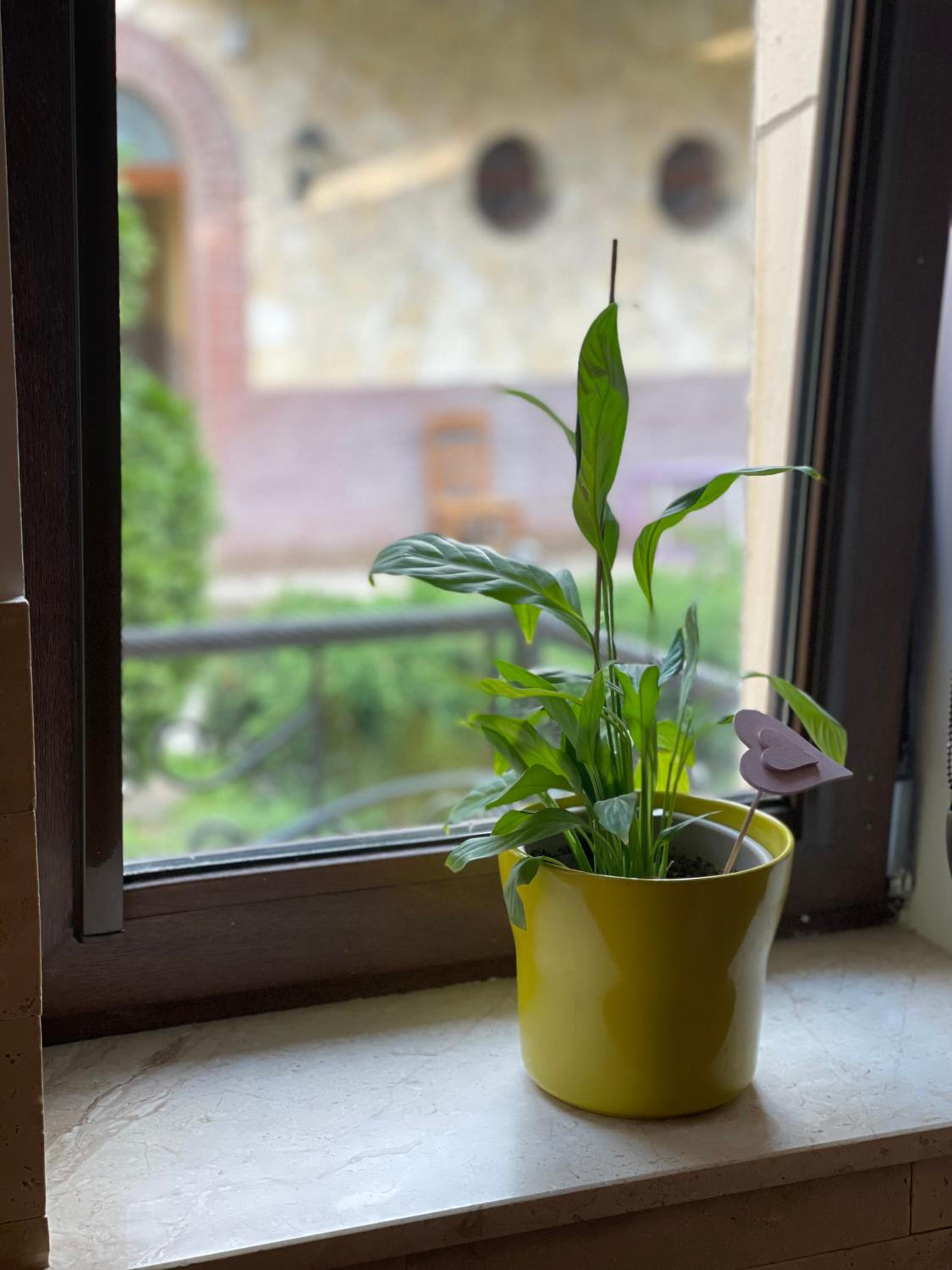Euro Apartman