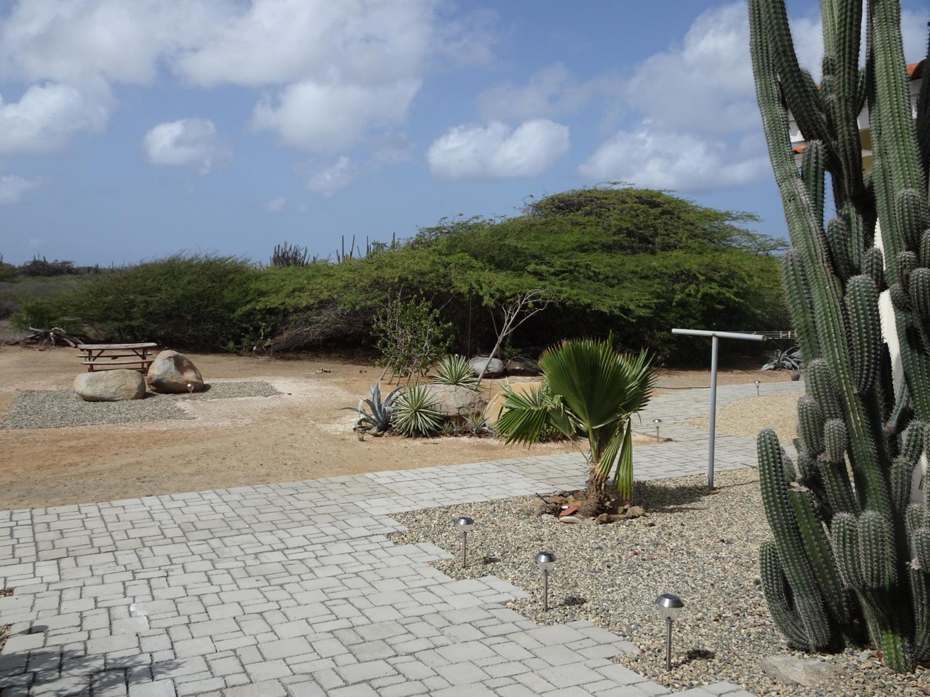 Pura Vida Aruba appartement Cama
