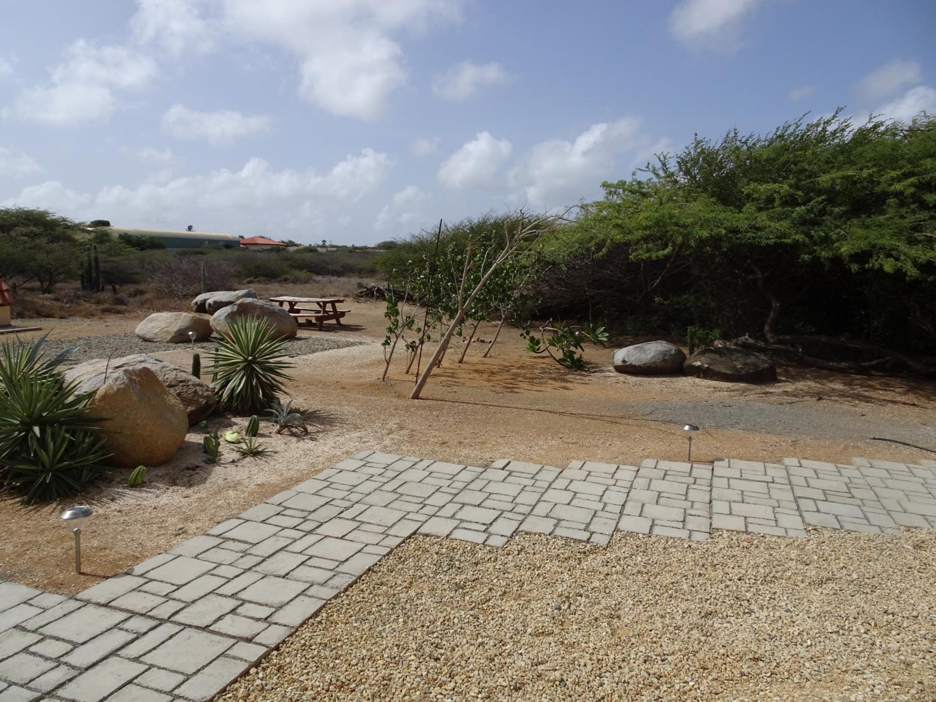 Pura Vida Aruba appartement Cama