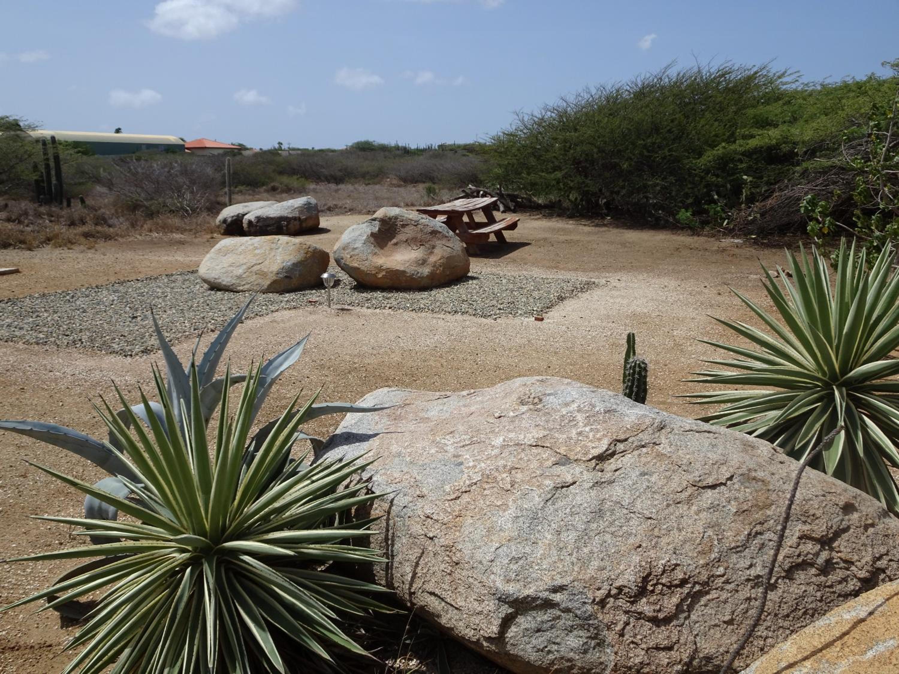 Pura Vida Aruba appartement Cama