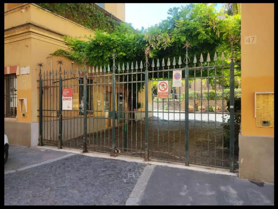 Peaceful apartment in Prati