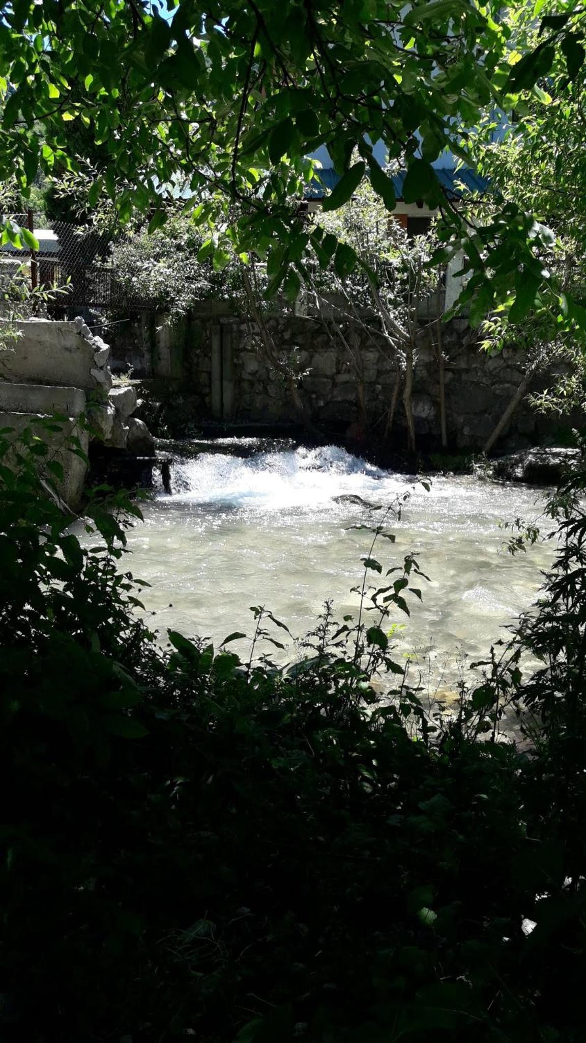 Photo 44